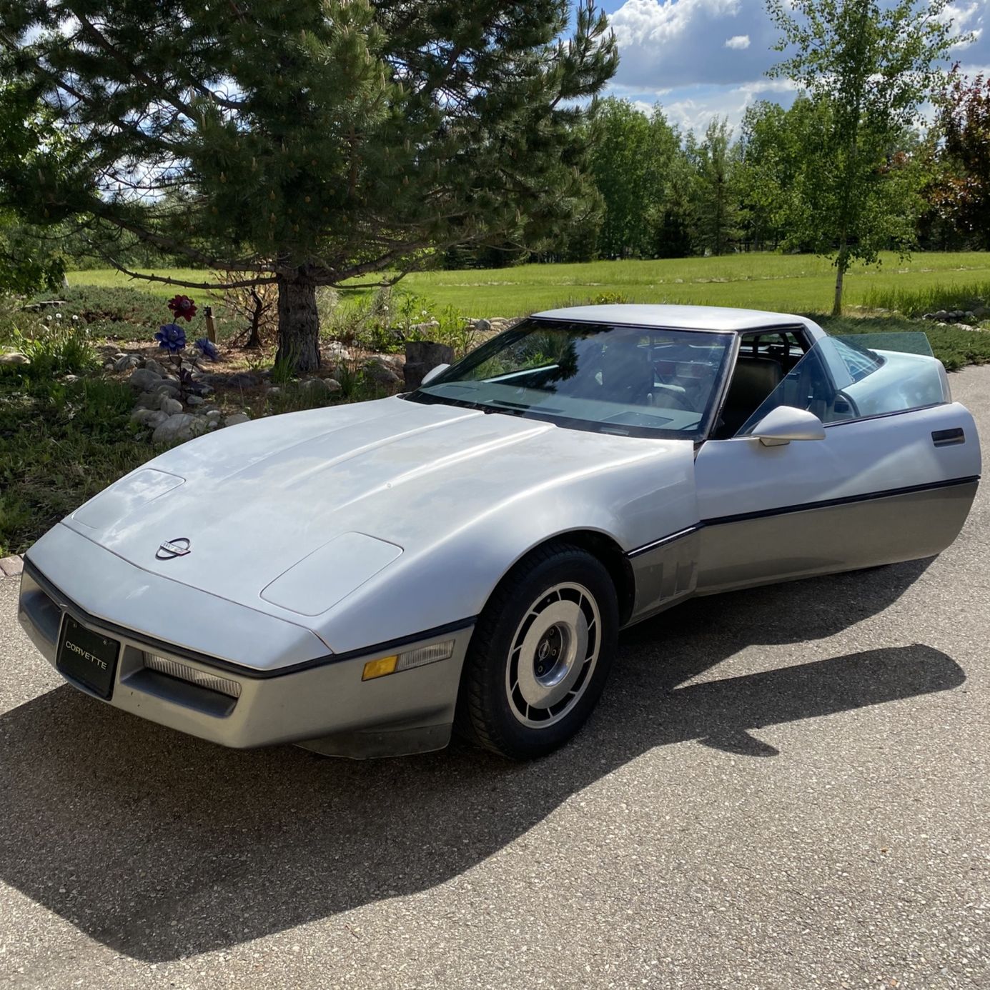 Profile of Dominic Goldau