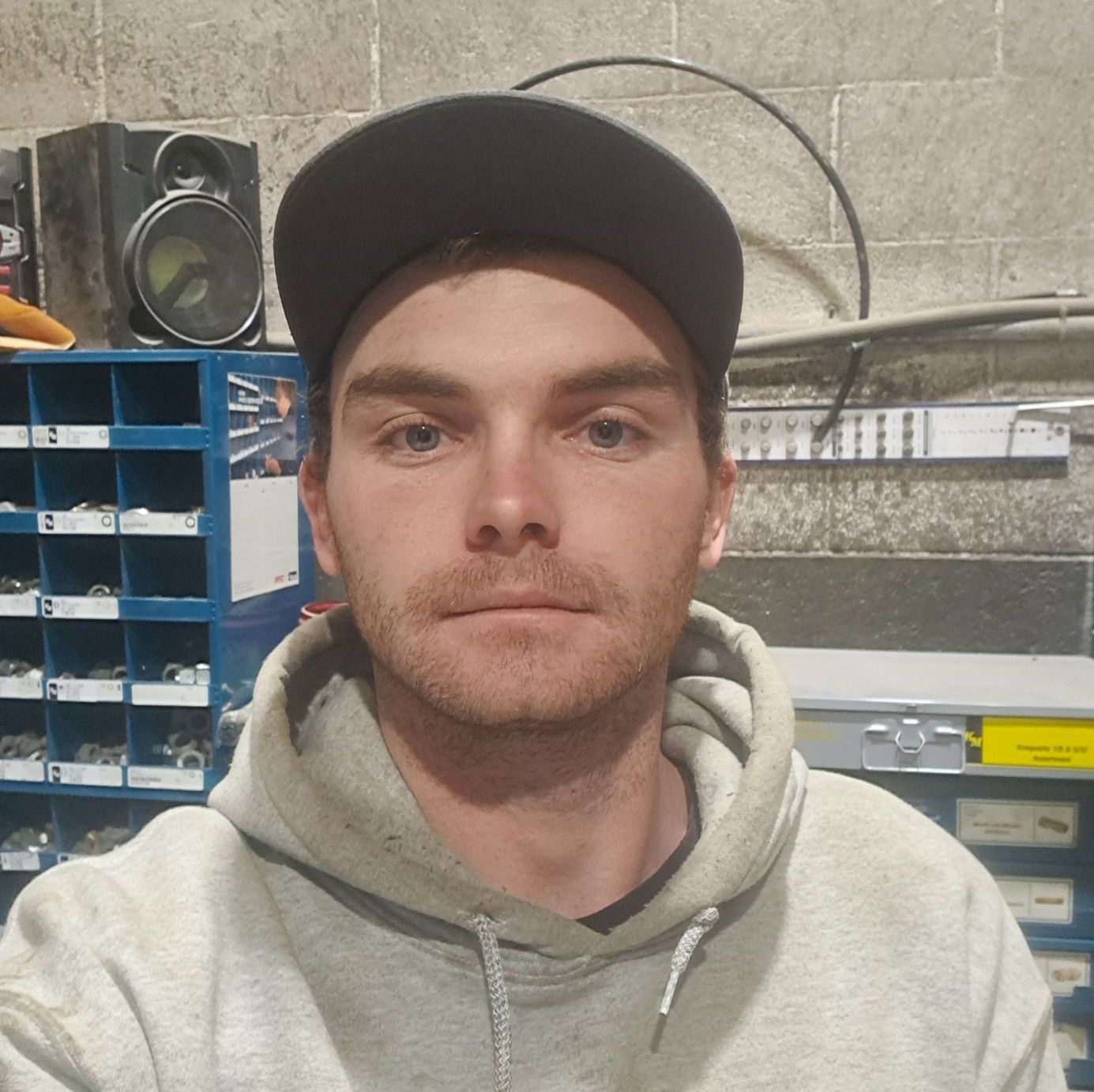 Profile of Dakota Wilson