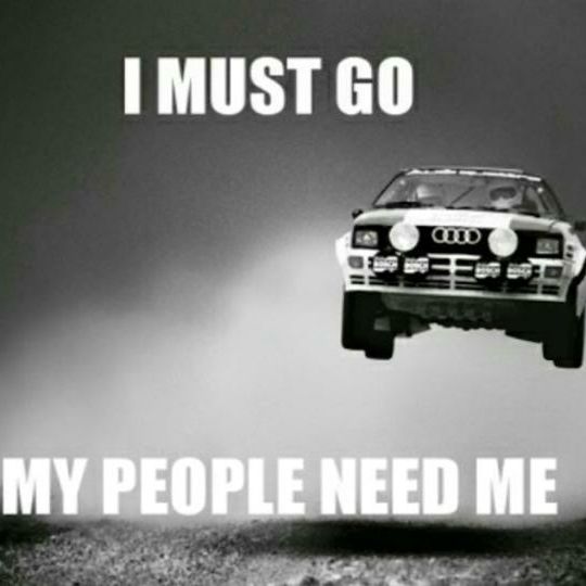 Profile of Josh Flynt