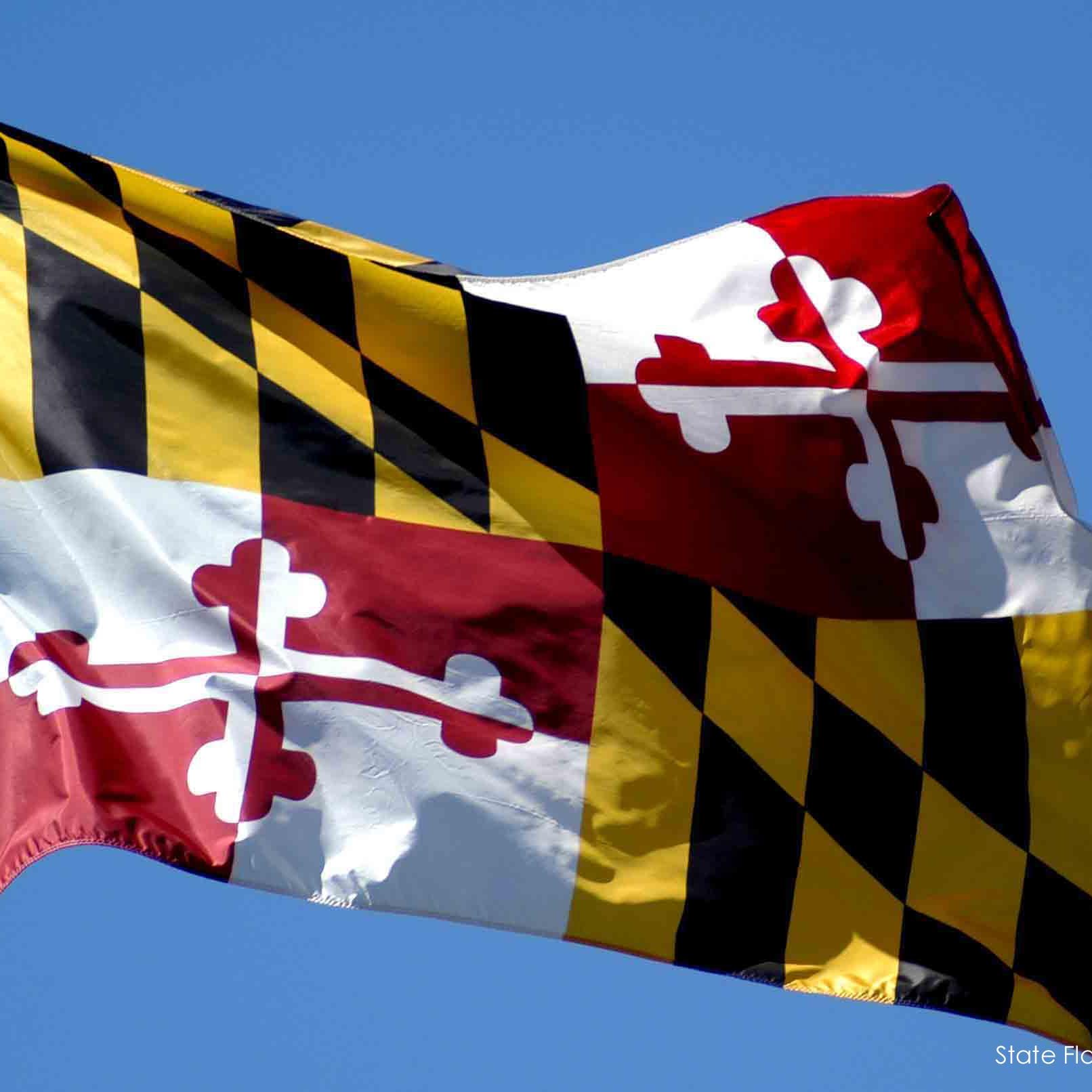 Profile of Stan Cohen