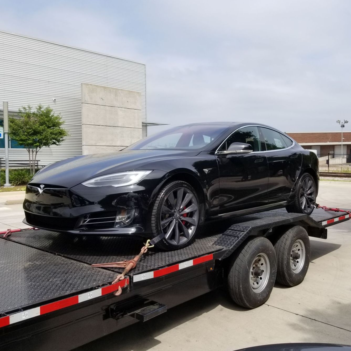 Profile of Timmy Mullins