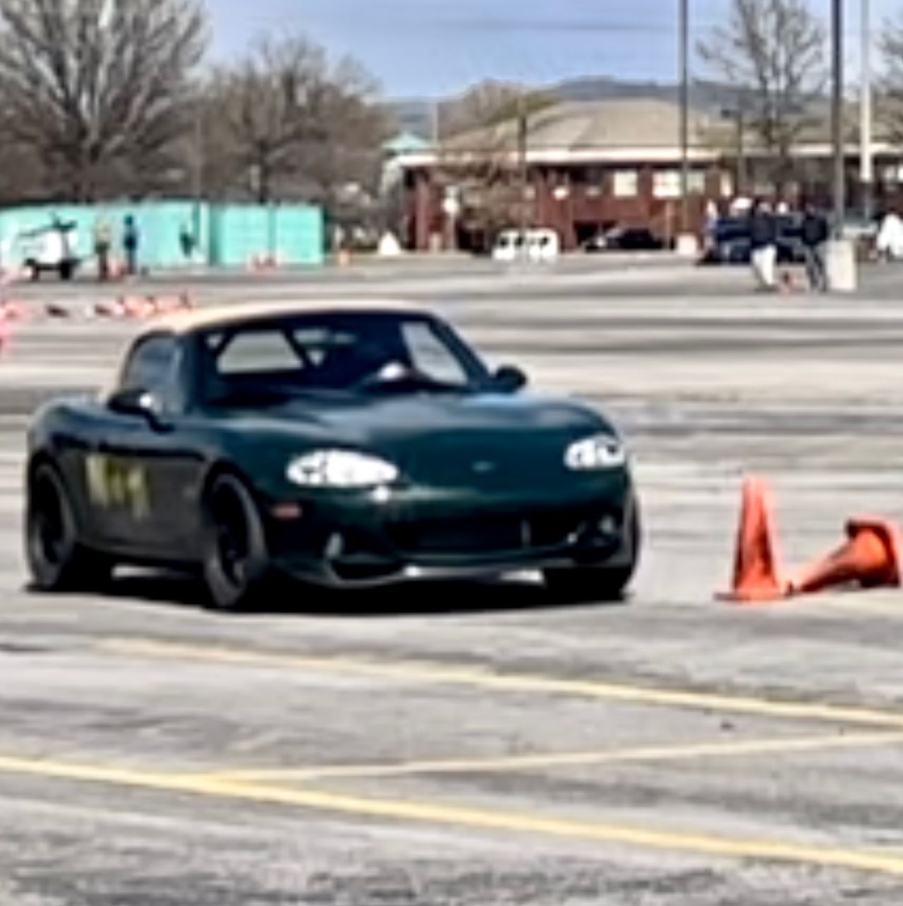 Profile of Robin Stilwell