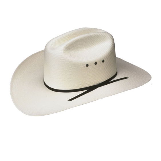 Profile of Alex Chapman