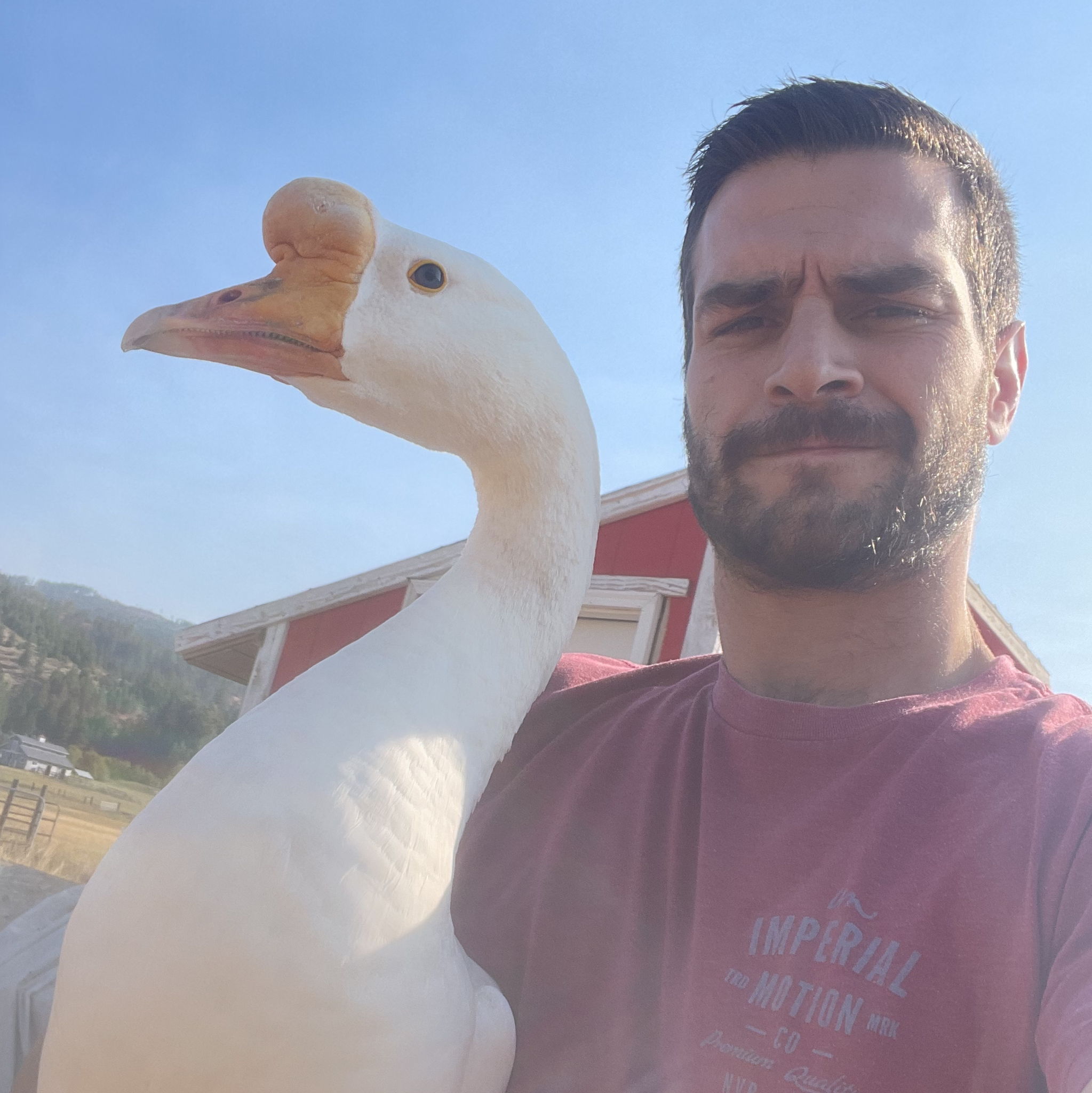 Profile of Brandon Dockins