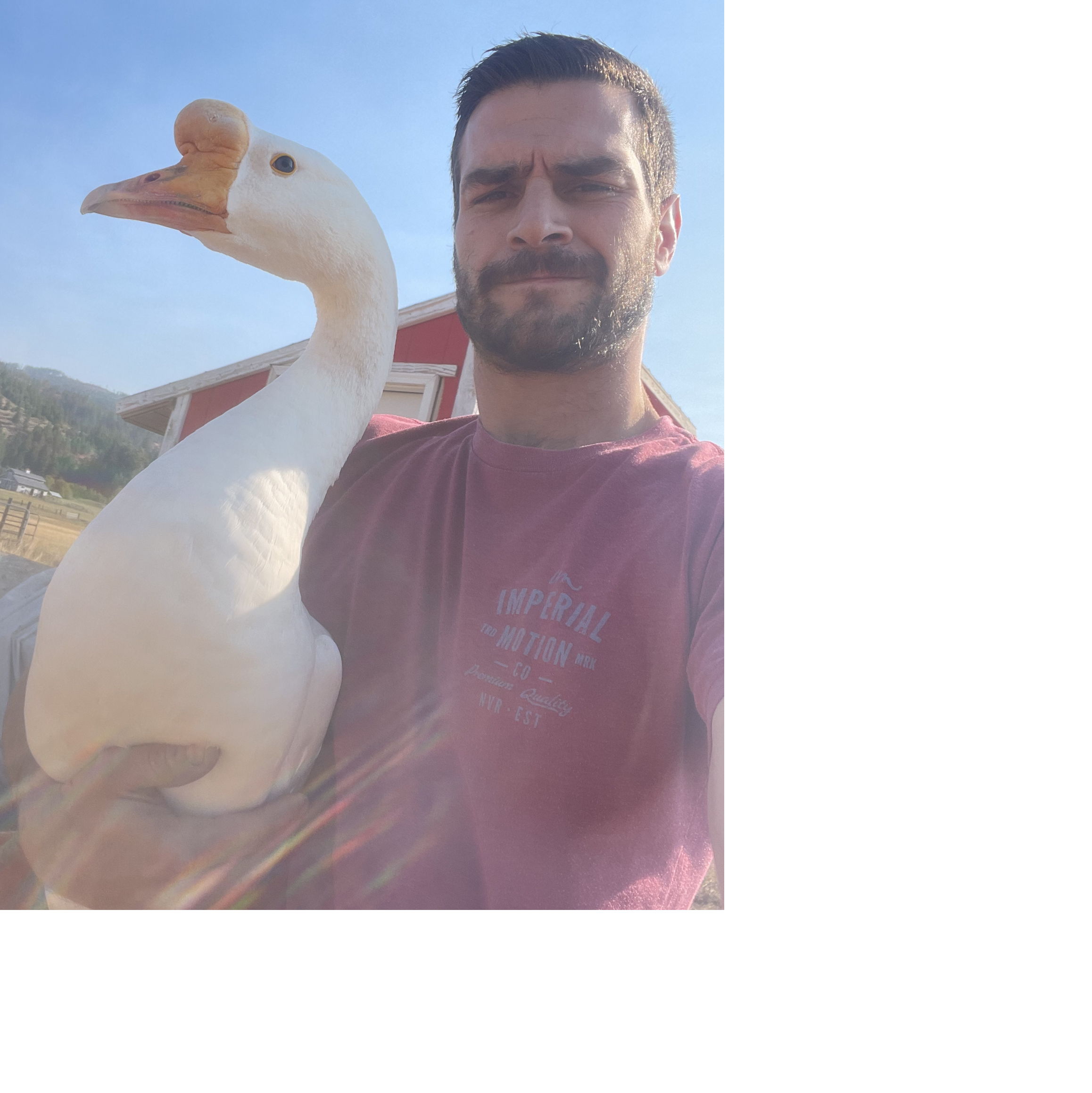 Profile of Brandon Dockins