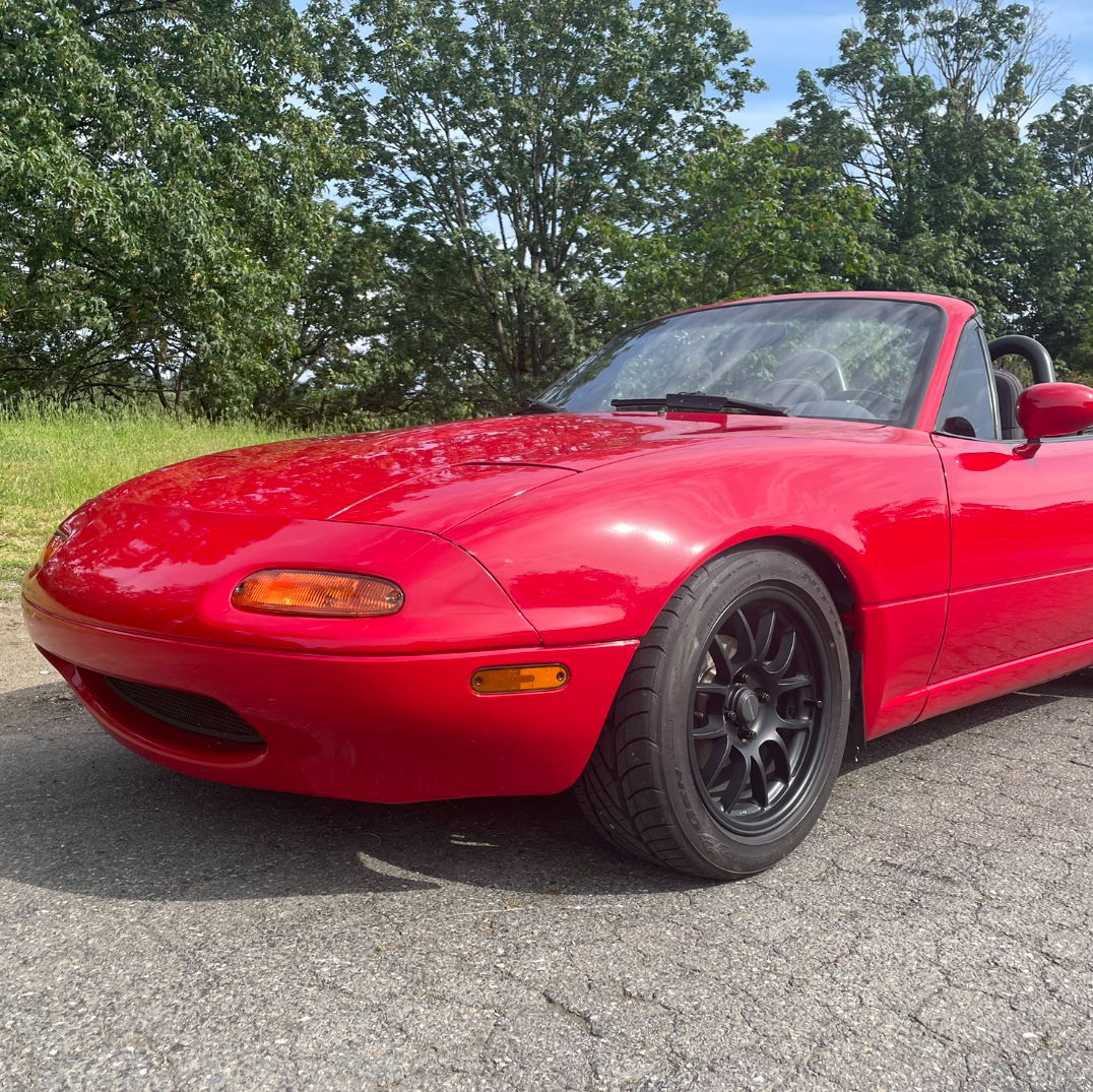 Profile of Isabela McLenachen