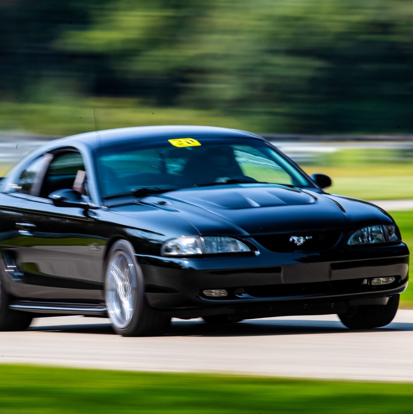 Profile of Dale Tocke