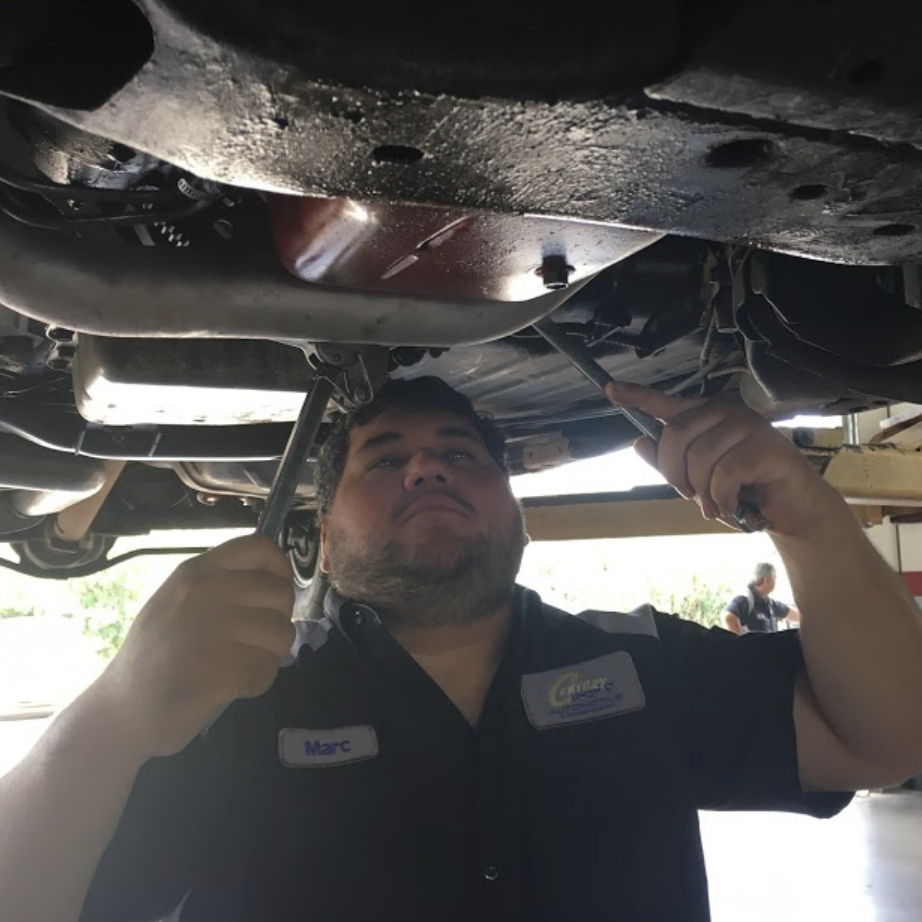 Profile of Marc Treviño