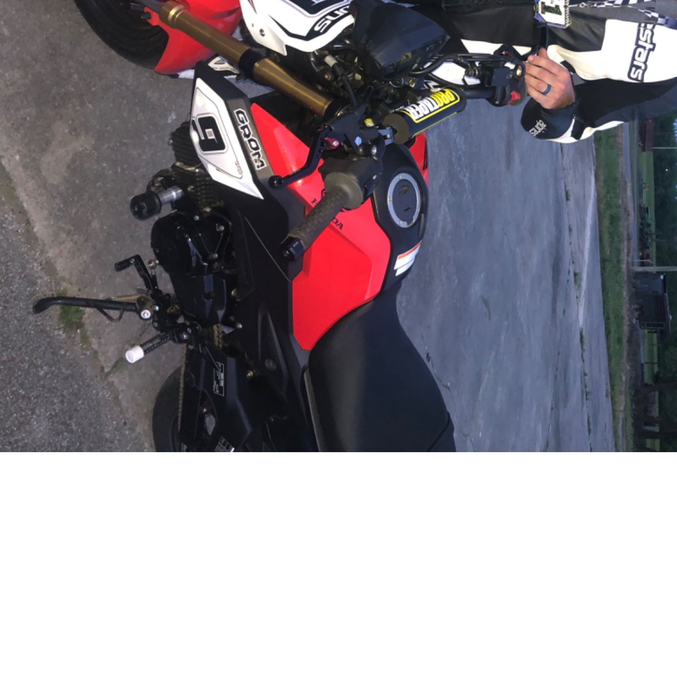 Profile of Torrey Downs