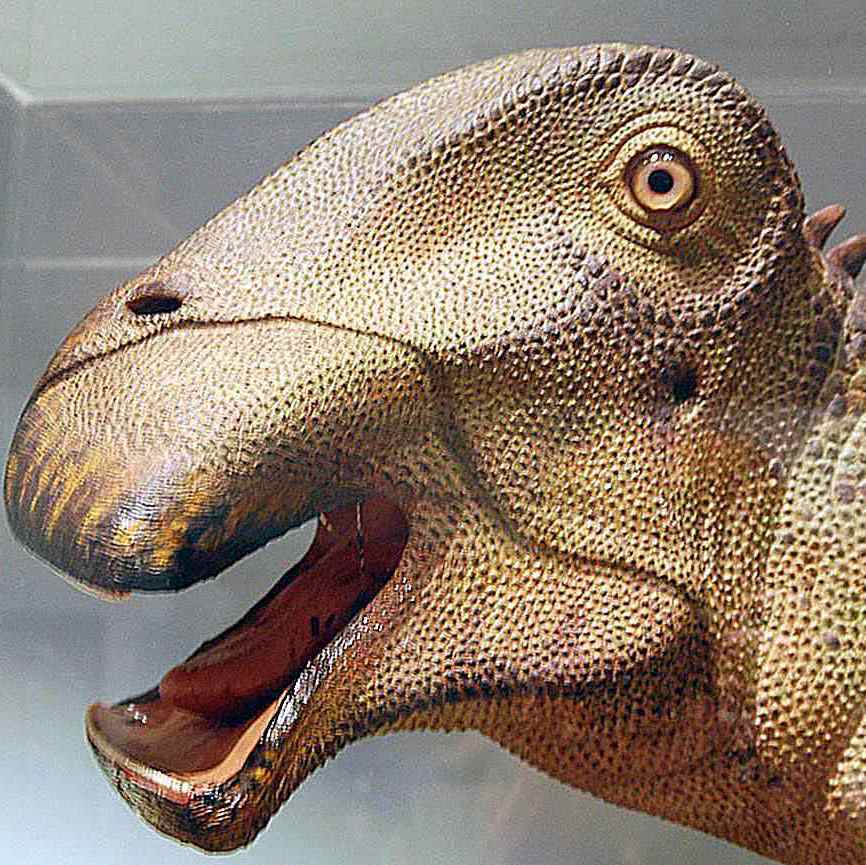 Profile of Chris Marson