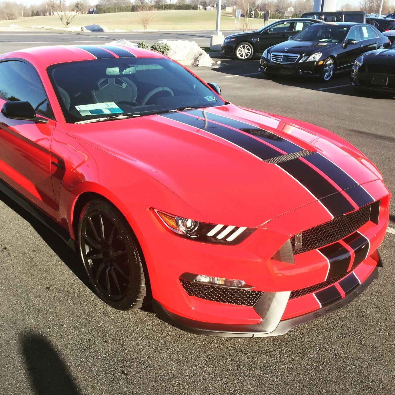 Profile of Richard Andrews