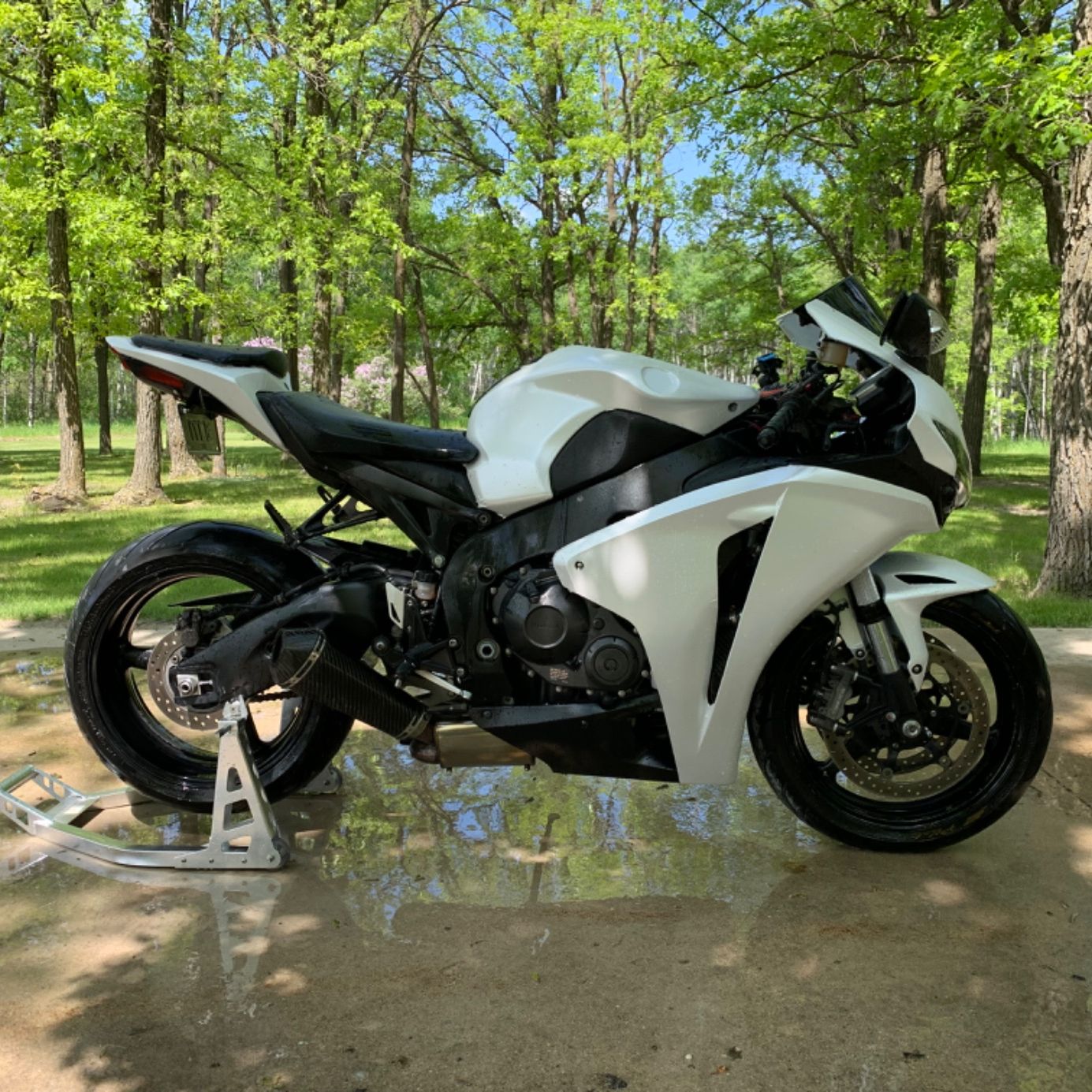 Profile of Noah Boschman