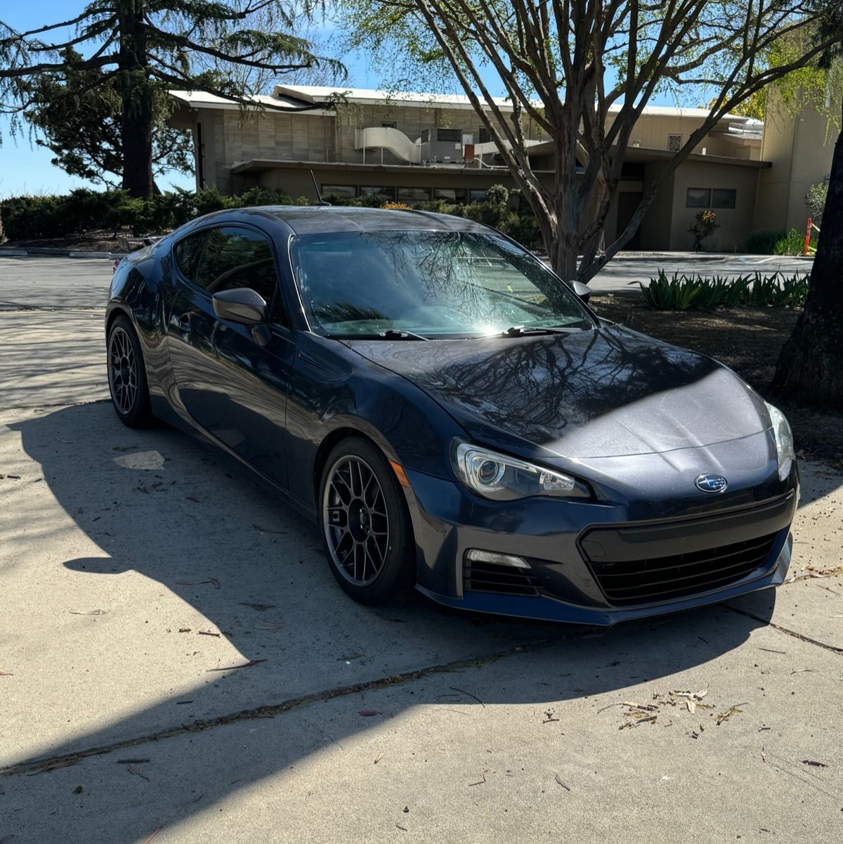 Profile of Amit Dhanota