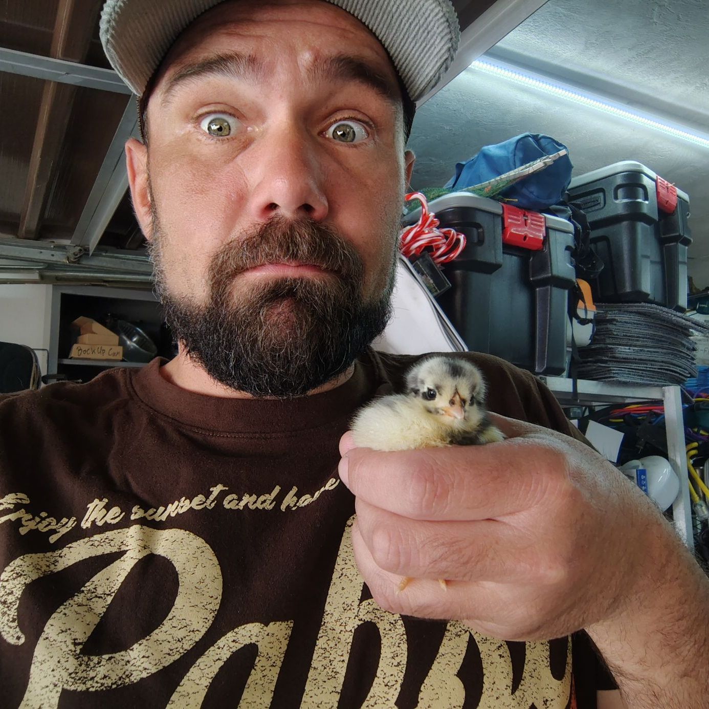 Profile of Gregory Voth