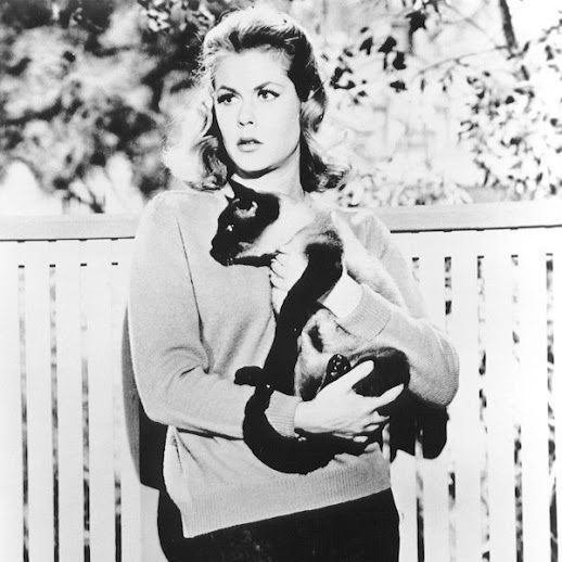 Profile of Gina  Diodati