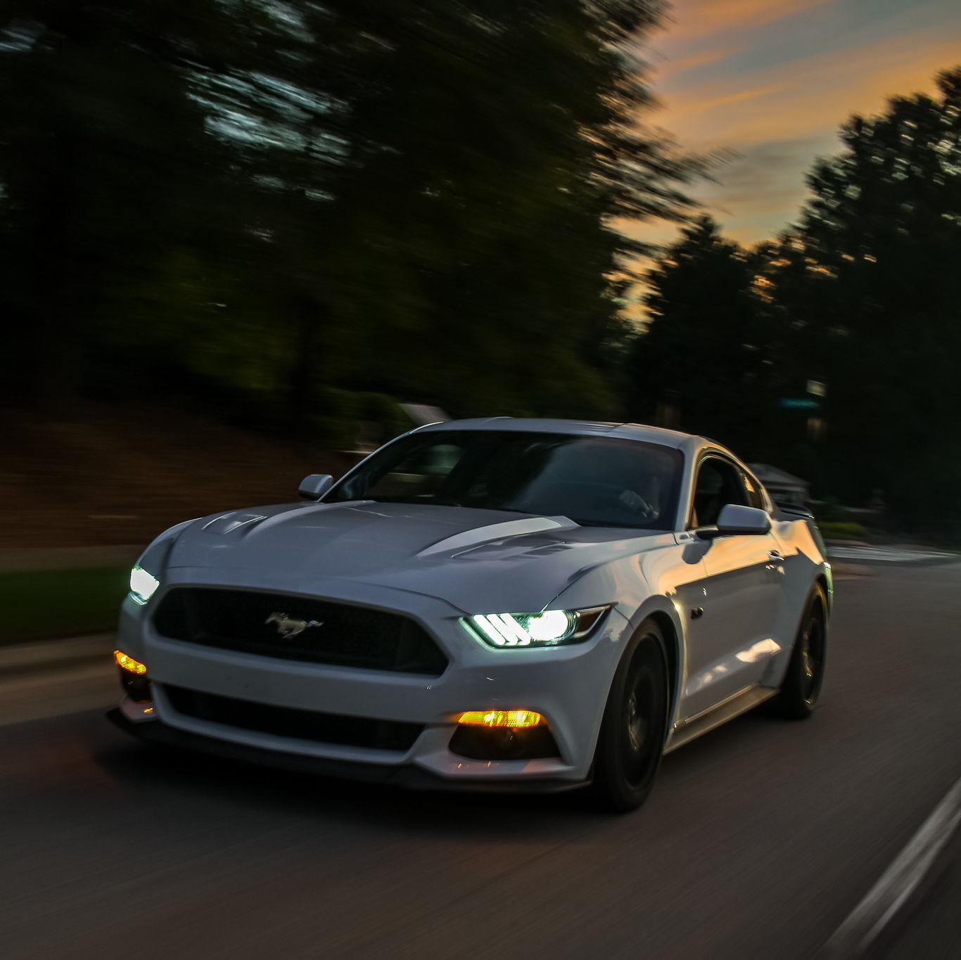 Profile of Jacob Mercier