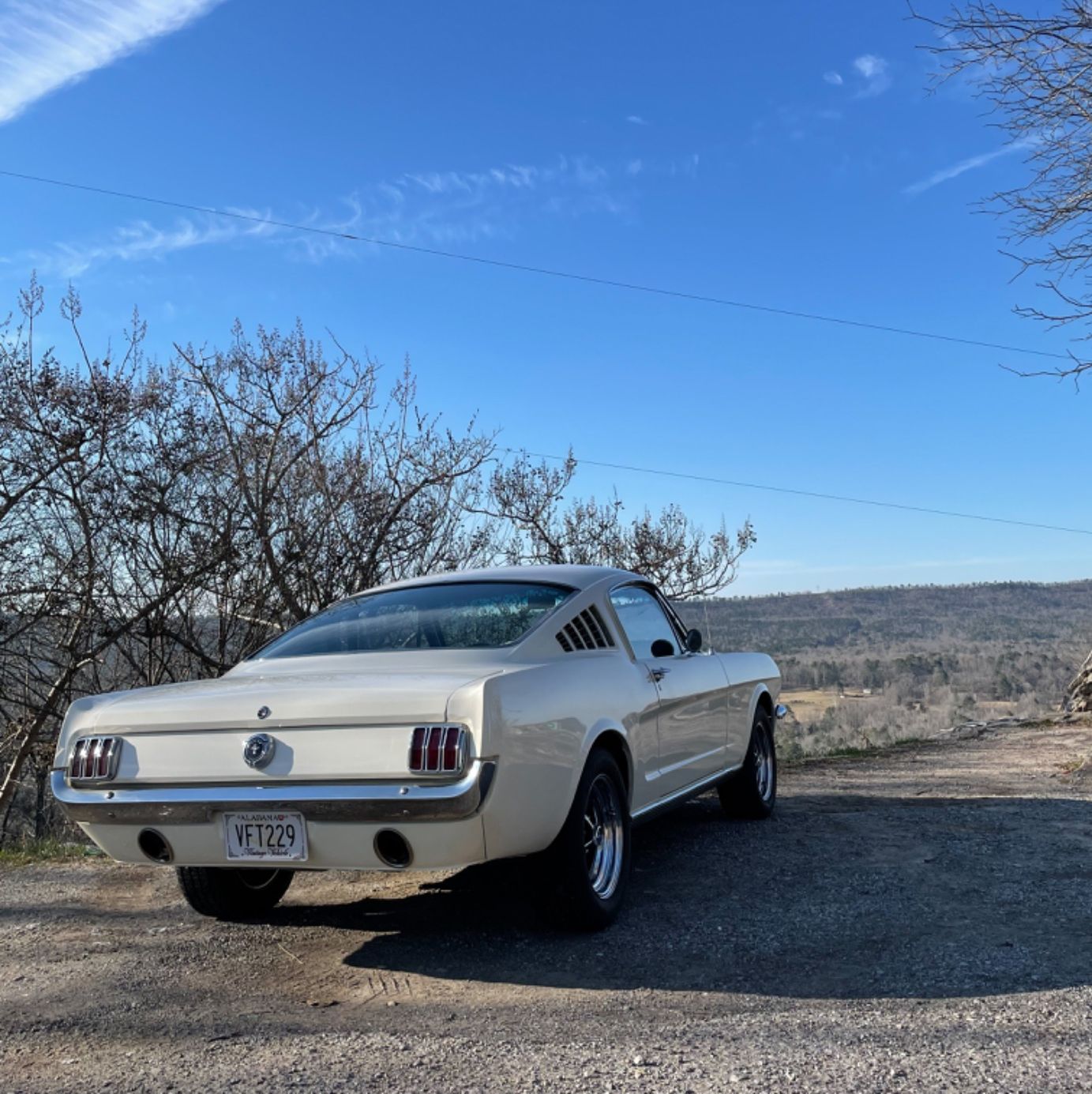 Profile of Mark Whitlock