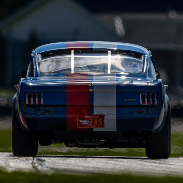 Profile of Henry Vicioso