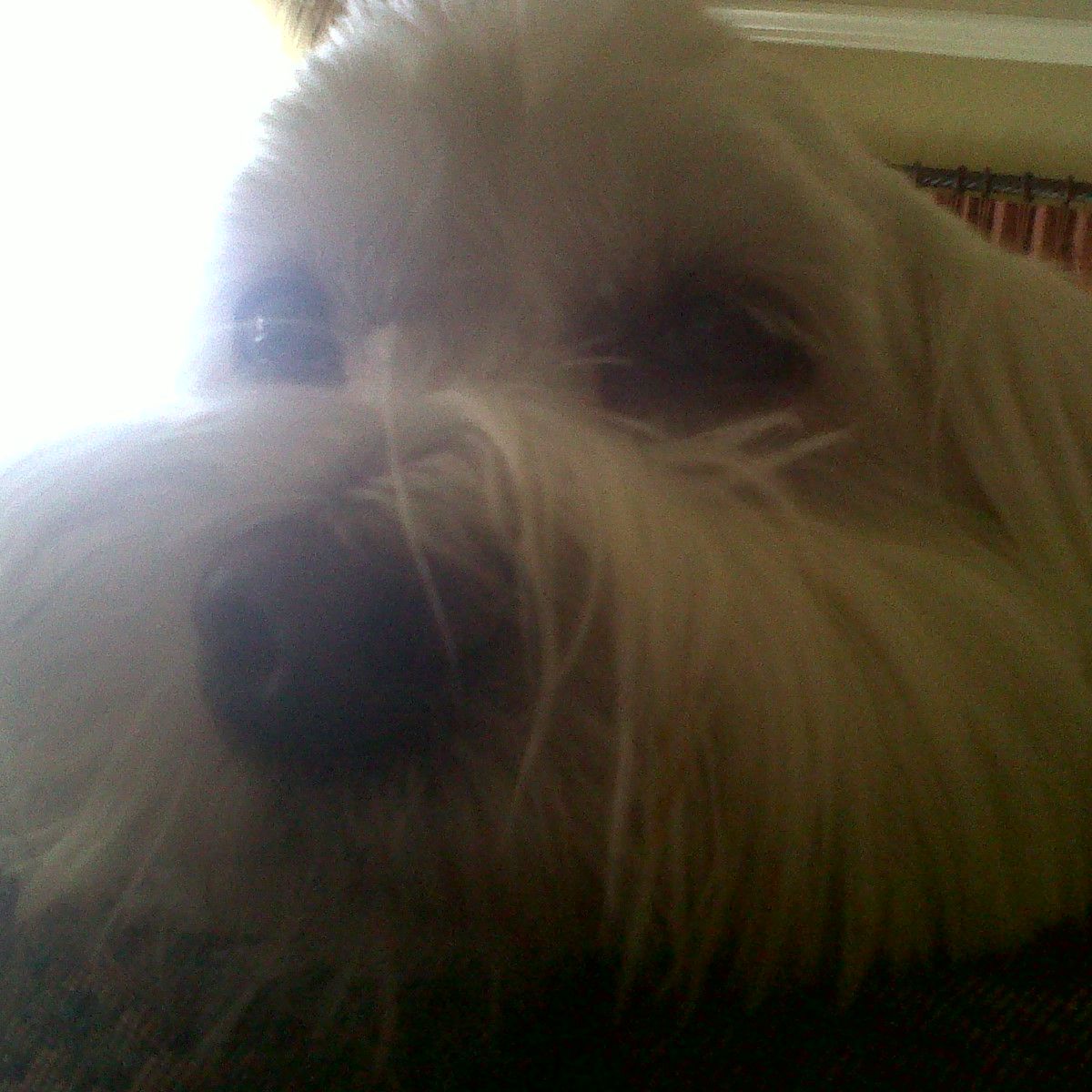 Profile of Randy Keeton