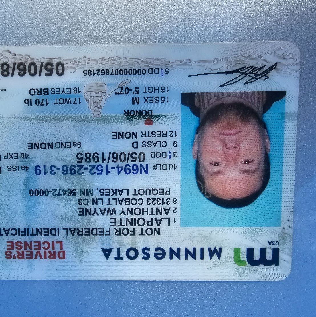 Profile of Anthony LaPointe