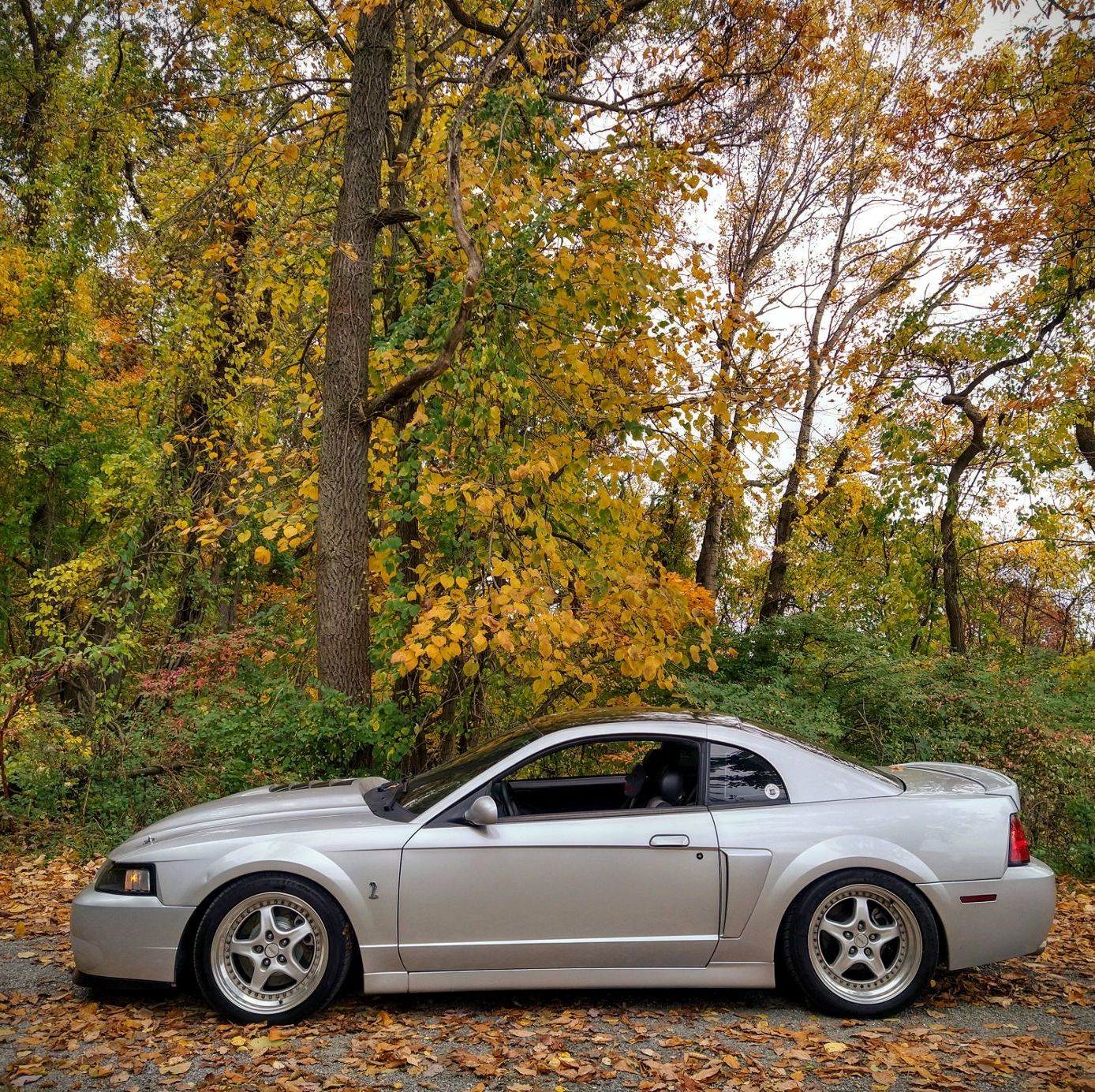 Profile of Robert Tadic