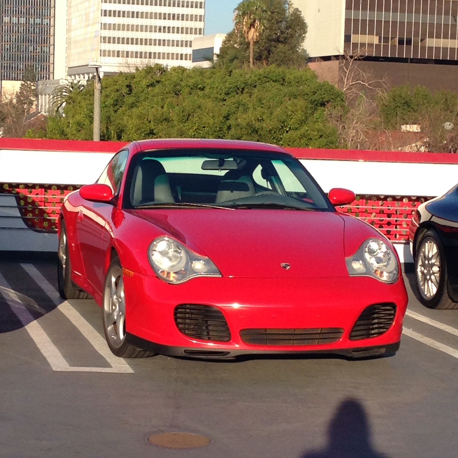 Profile of Stephen Bitter