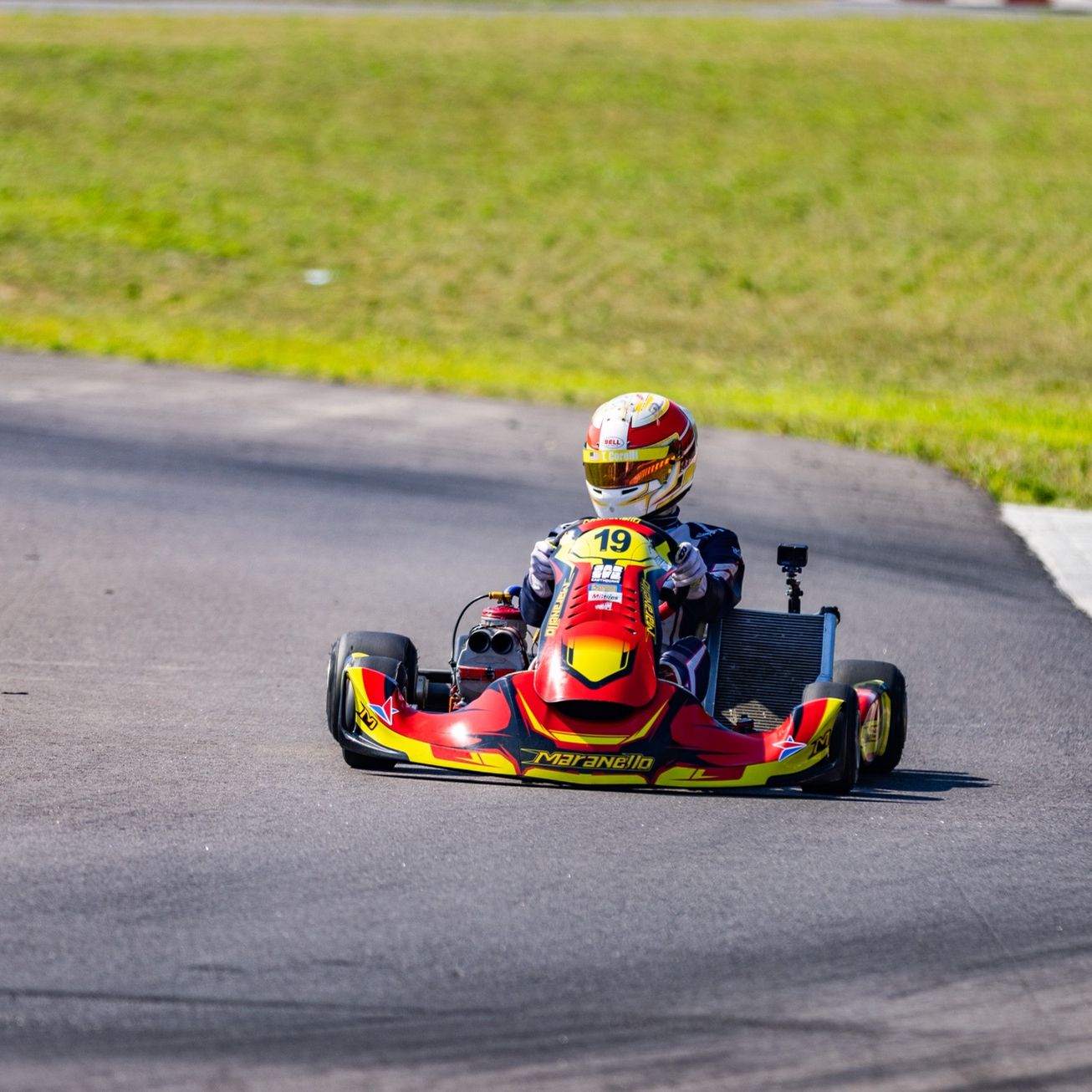 Profile of Theodore Corelli