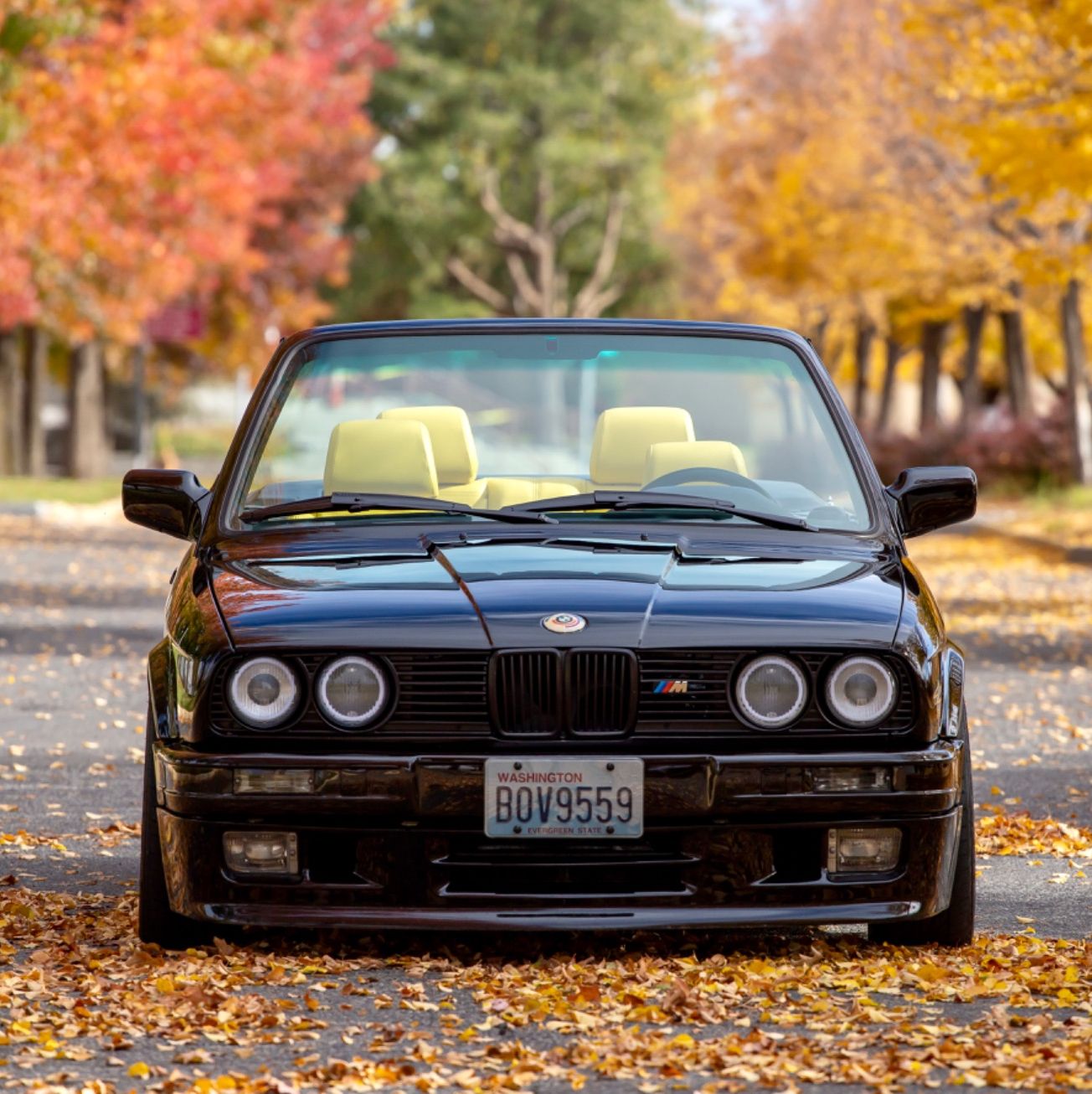 Profile of Carlos Castro