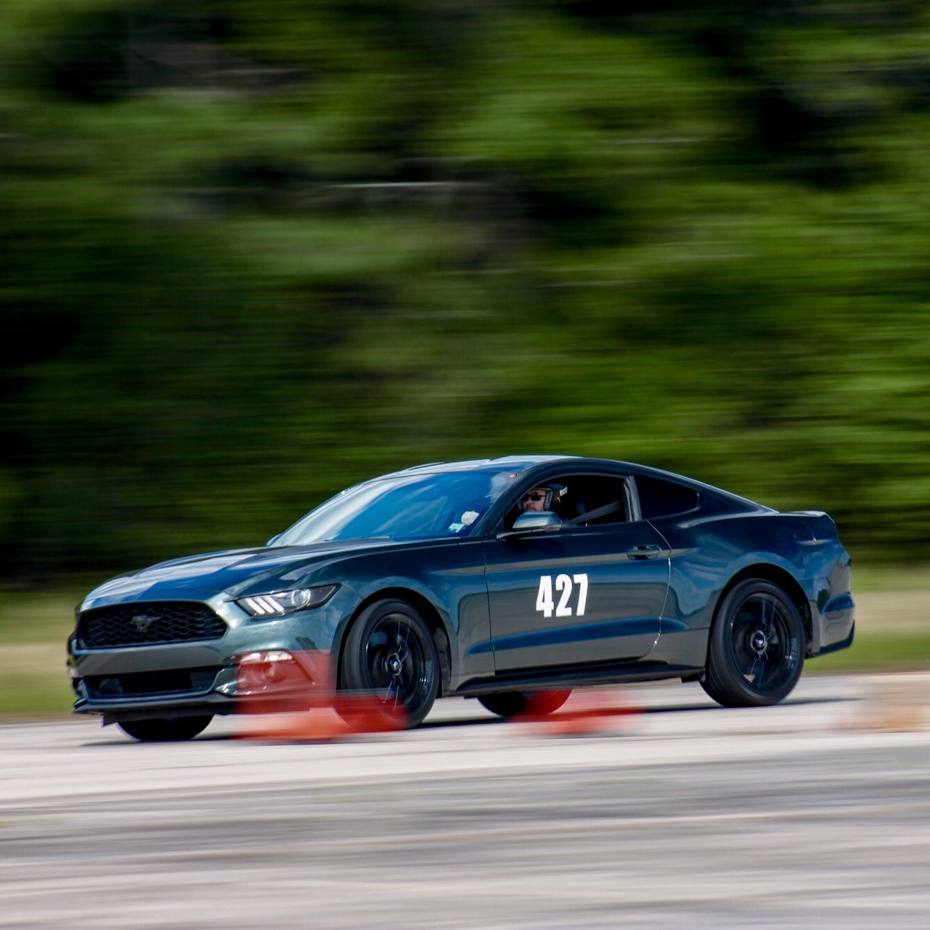 Profile of Justin Coile