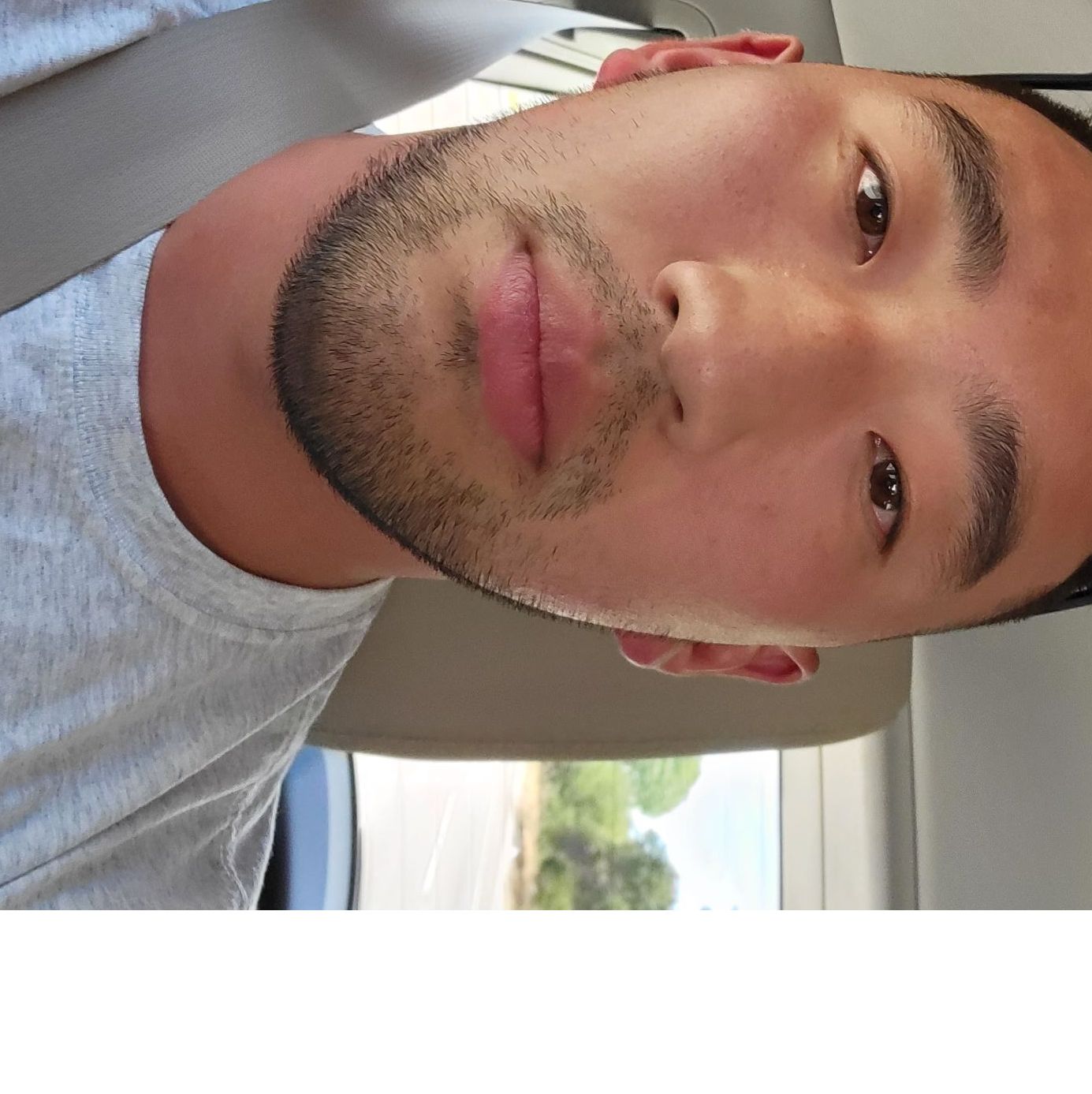 Profile of David Park