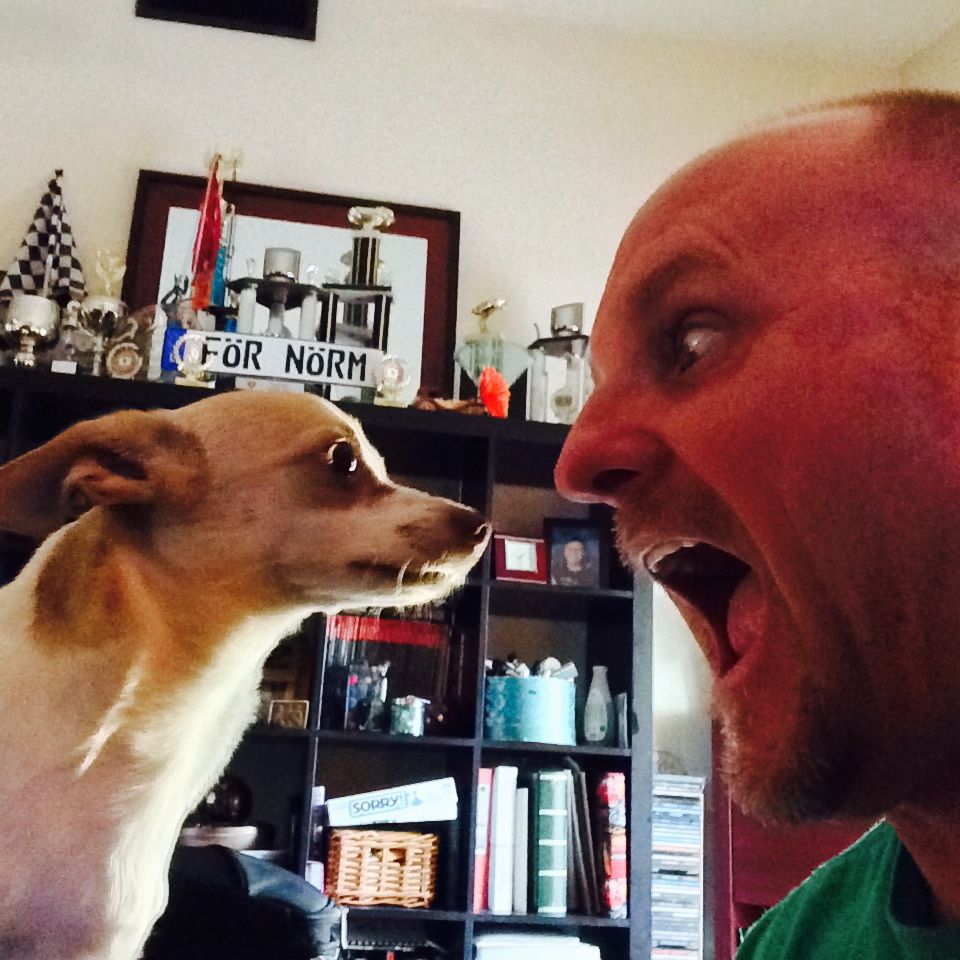 Profile of Michael Babcock