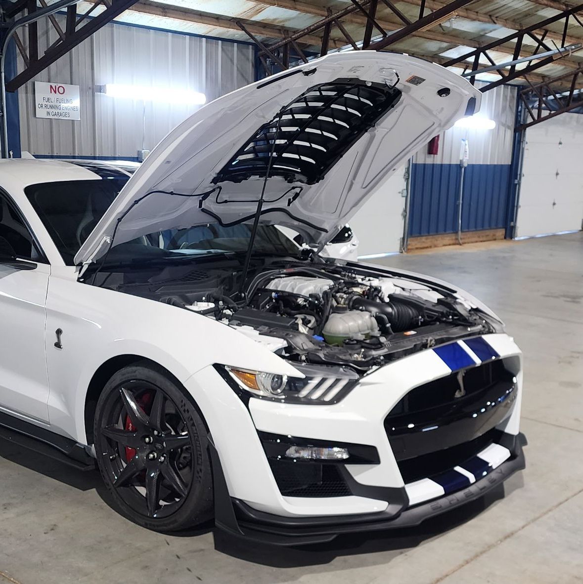 Profile of Nicholas McCahill