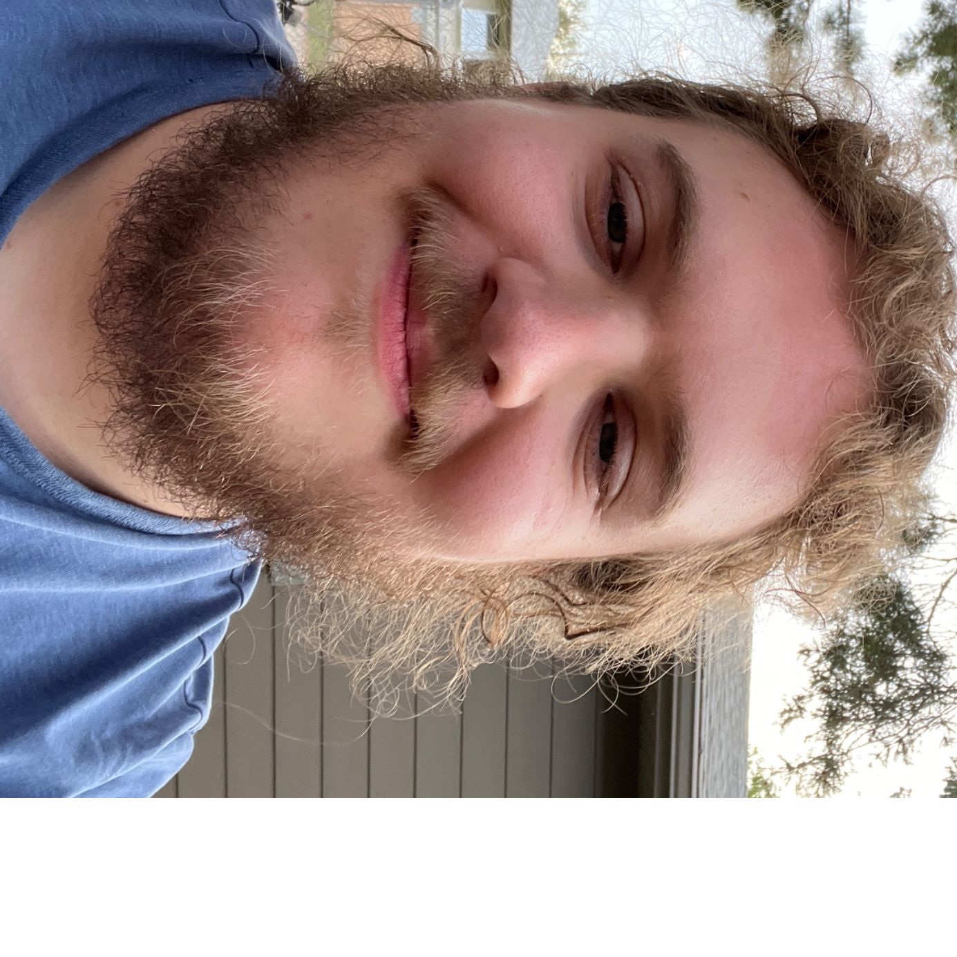 Profile of Michael Timms