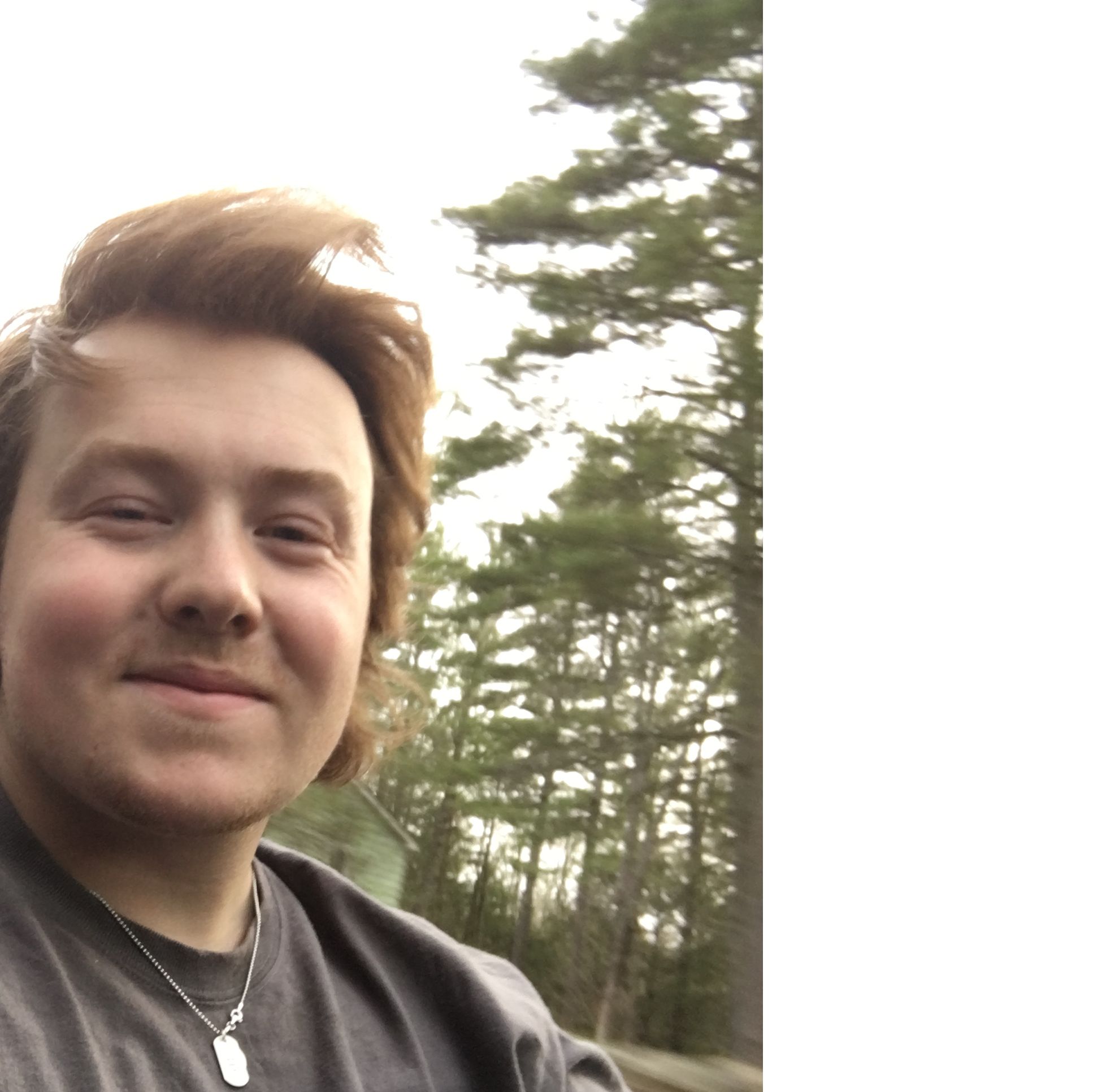 Profile of Owen MacPhee