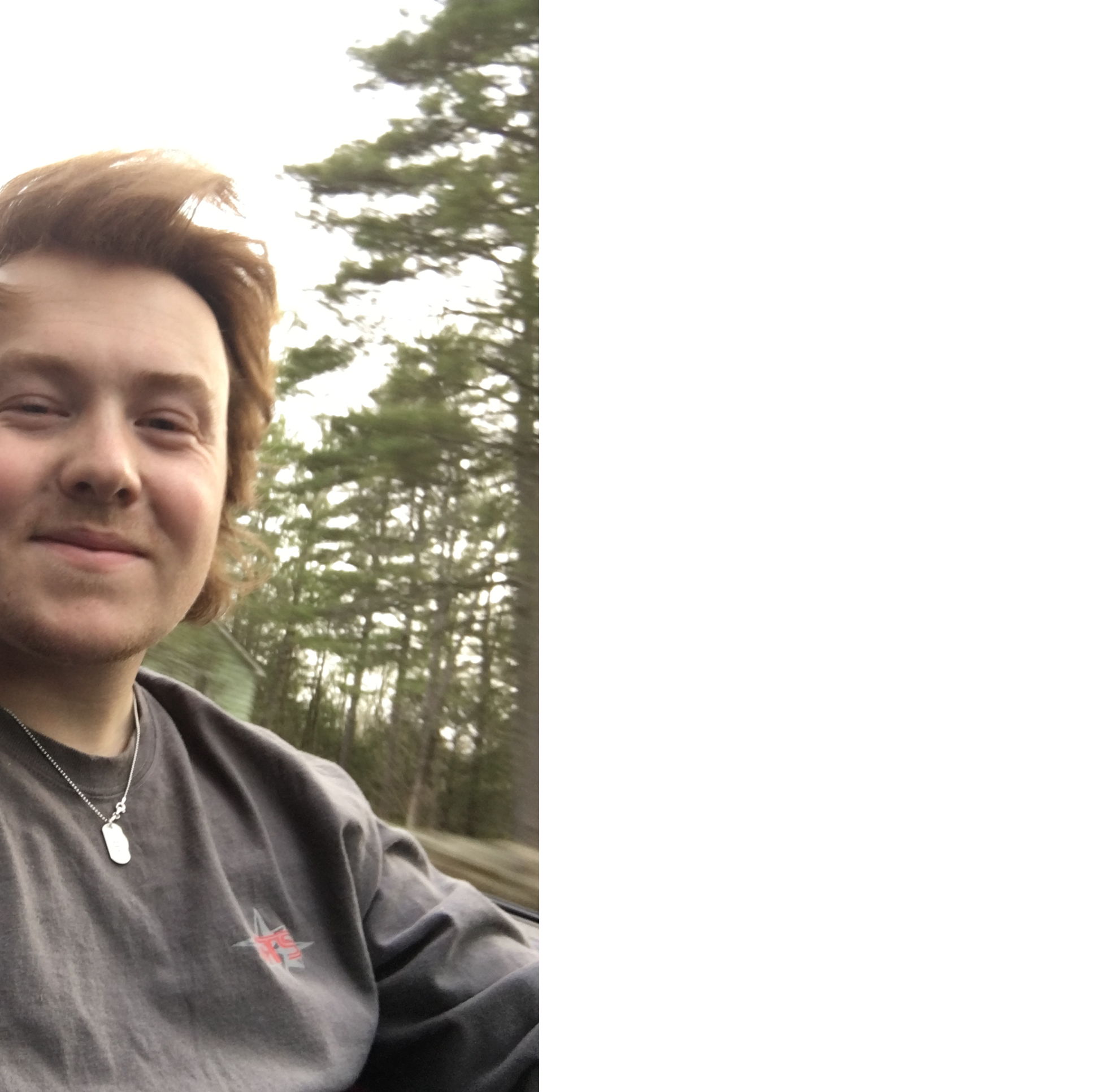 Profile of Owen MacPhee