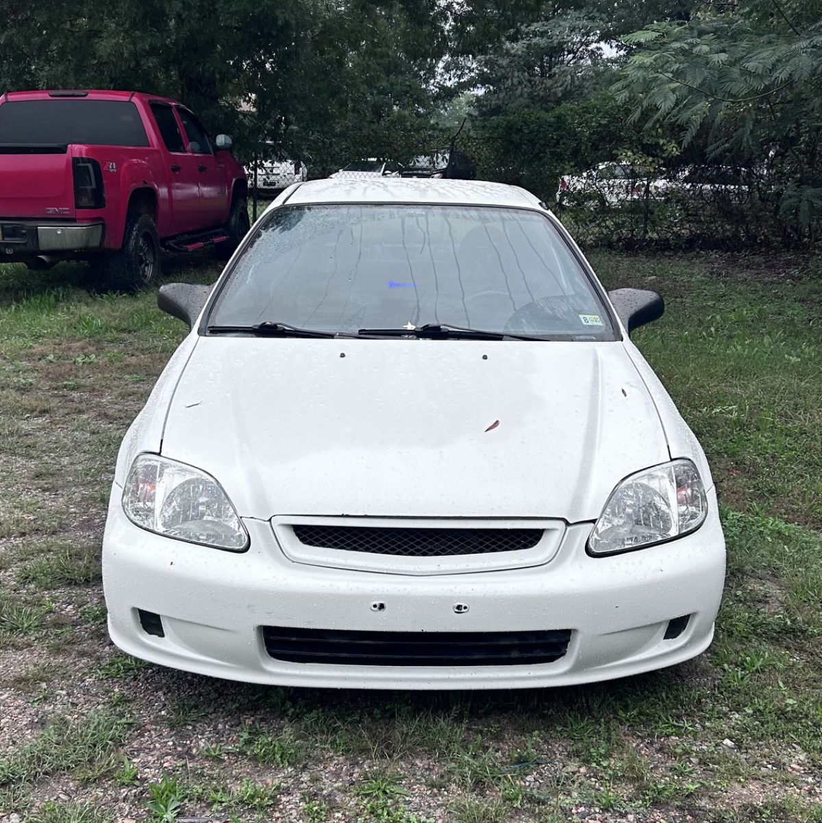 Profile of Kaiden Mclean