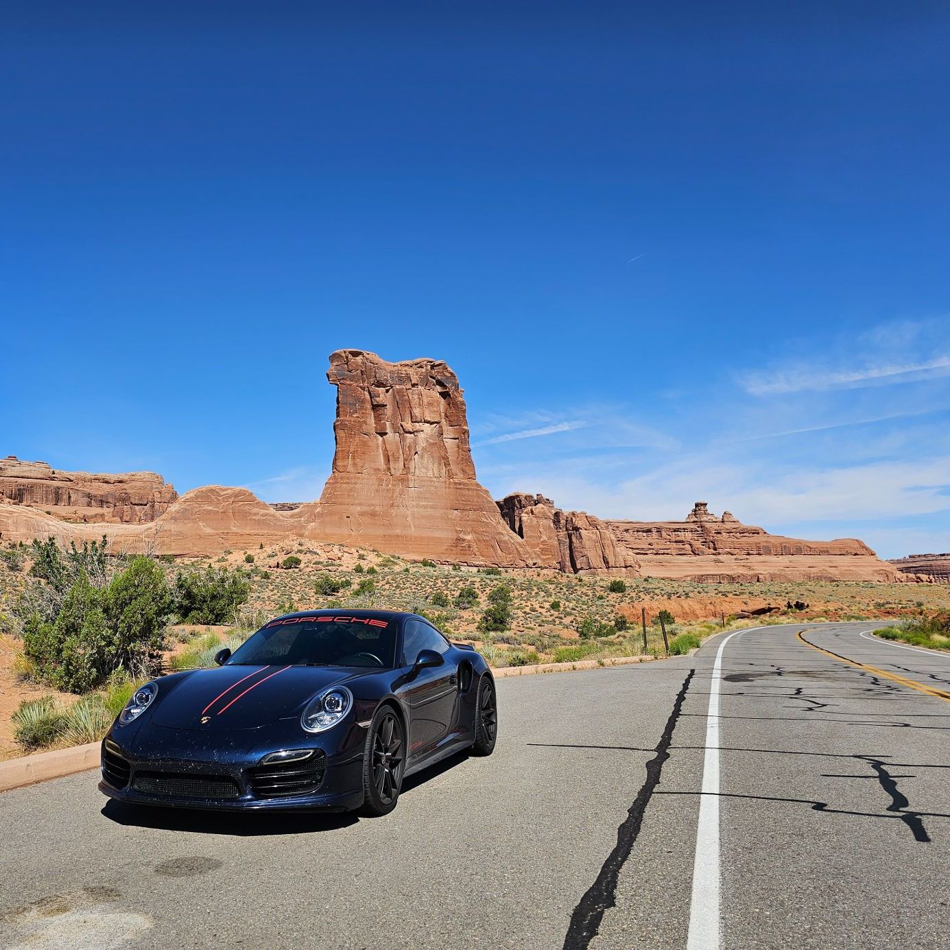 Profile of Cindy Choi