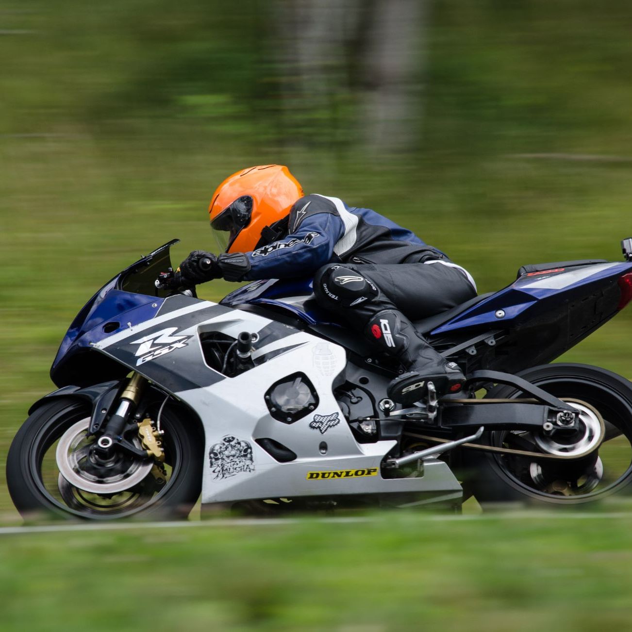 Profile of John Frayne