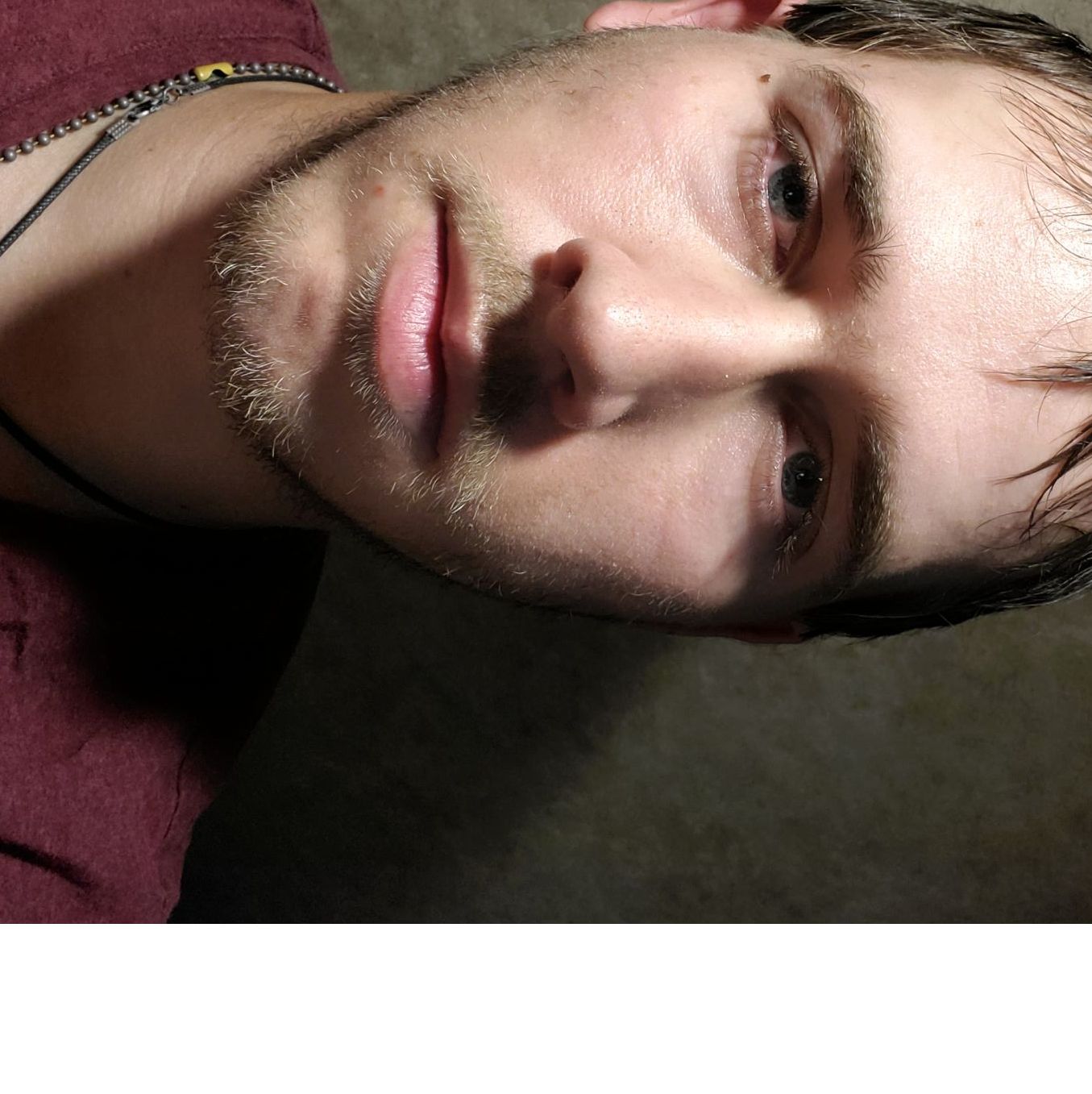 Profile of David Hockett