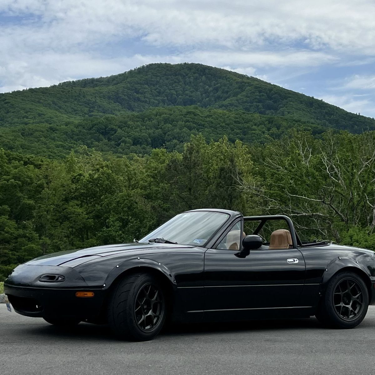 Profile of Brett Endrusick