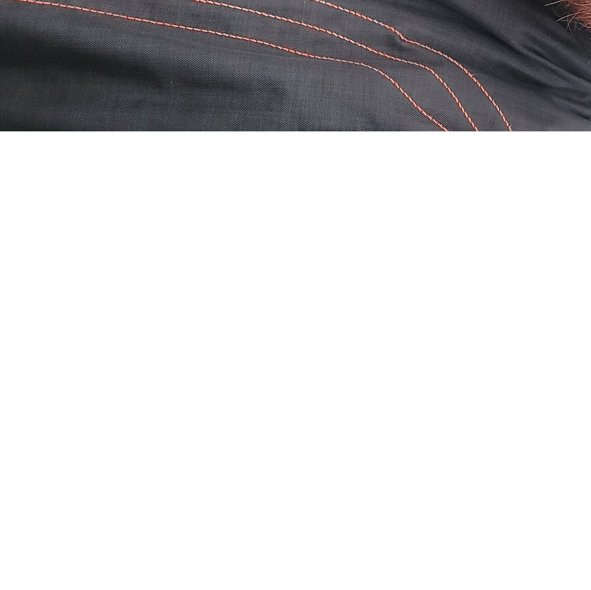 Profile of Josh Findlay