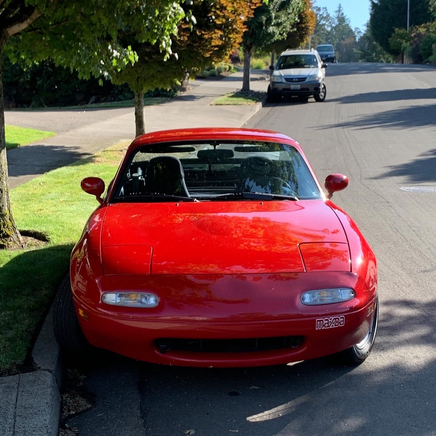 Profile of Peyton Ek