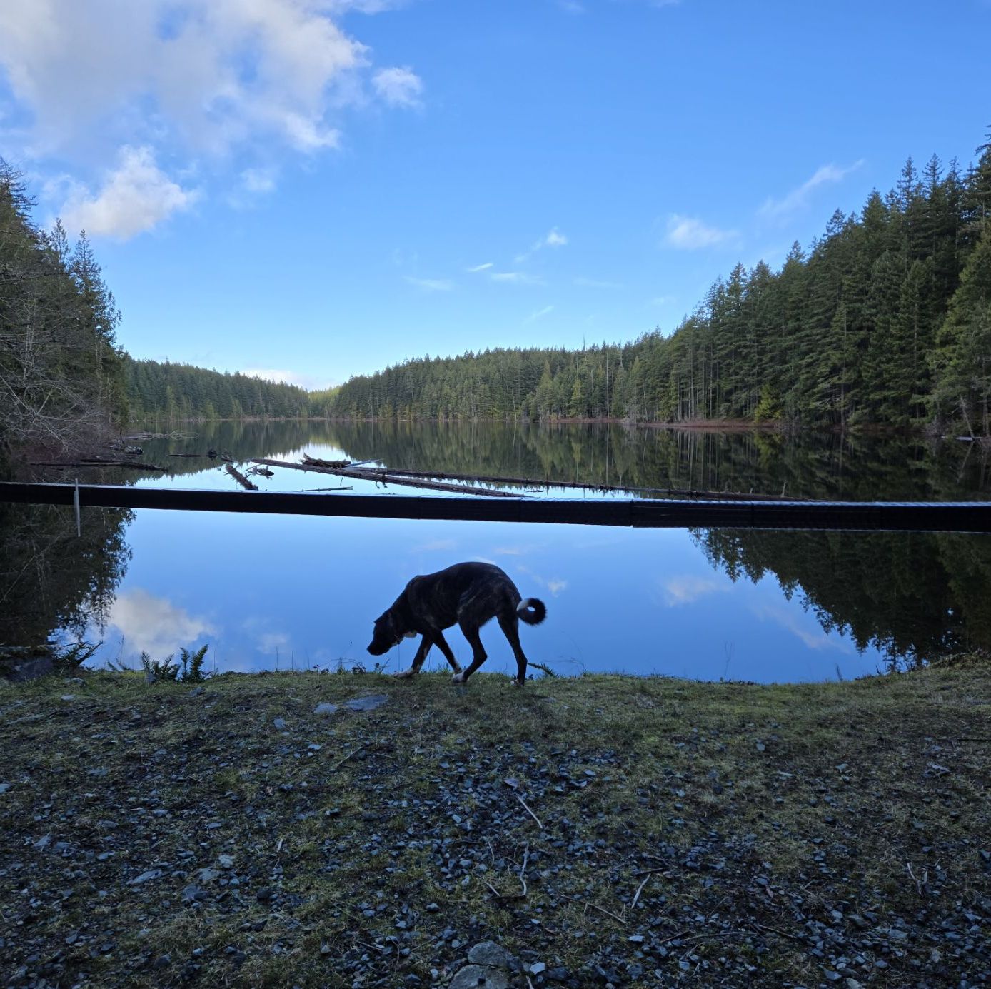 Profile of Jesse Manner