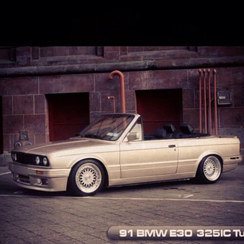 Profile of Walter Sparkes