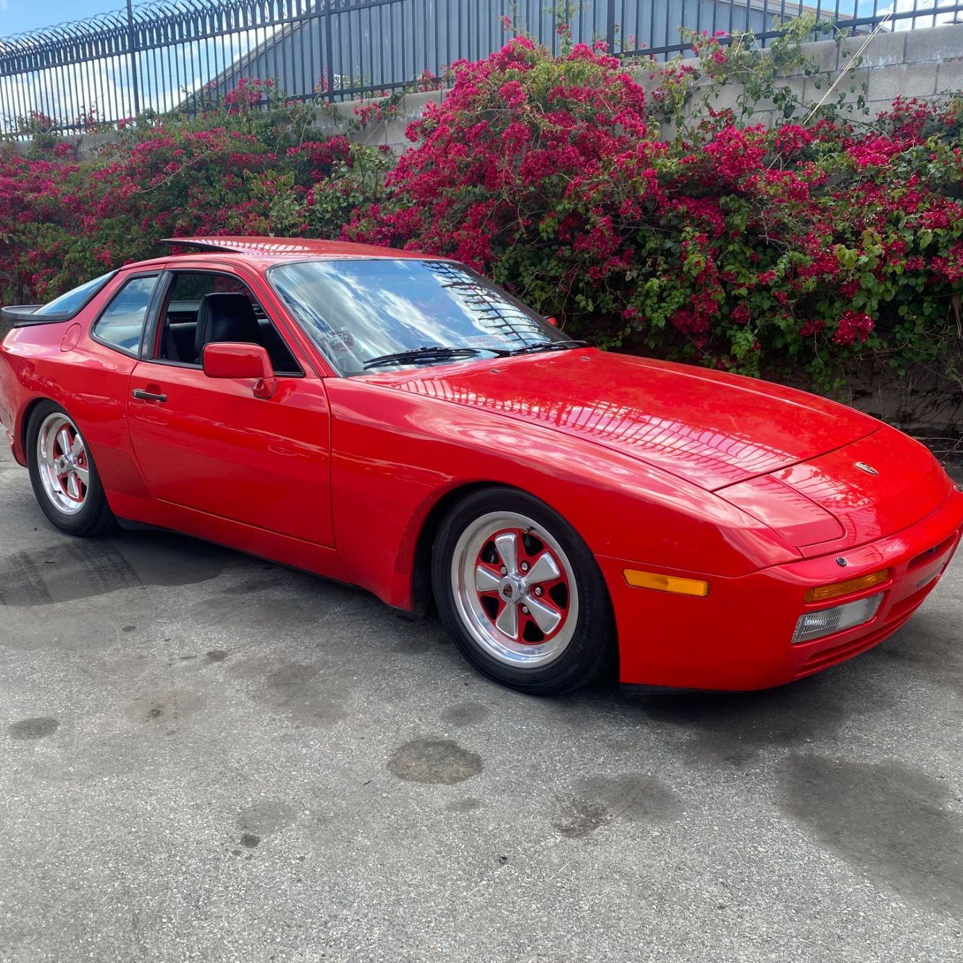 Profile of Jacquie Jaeger