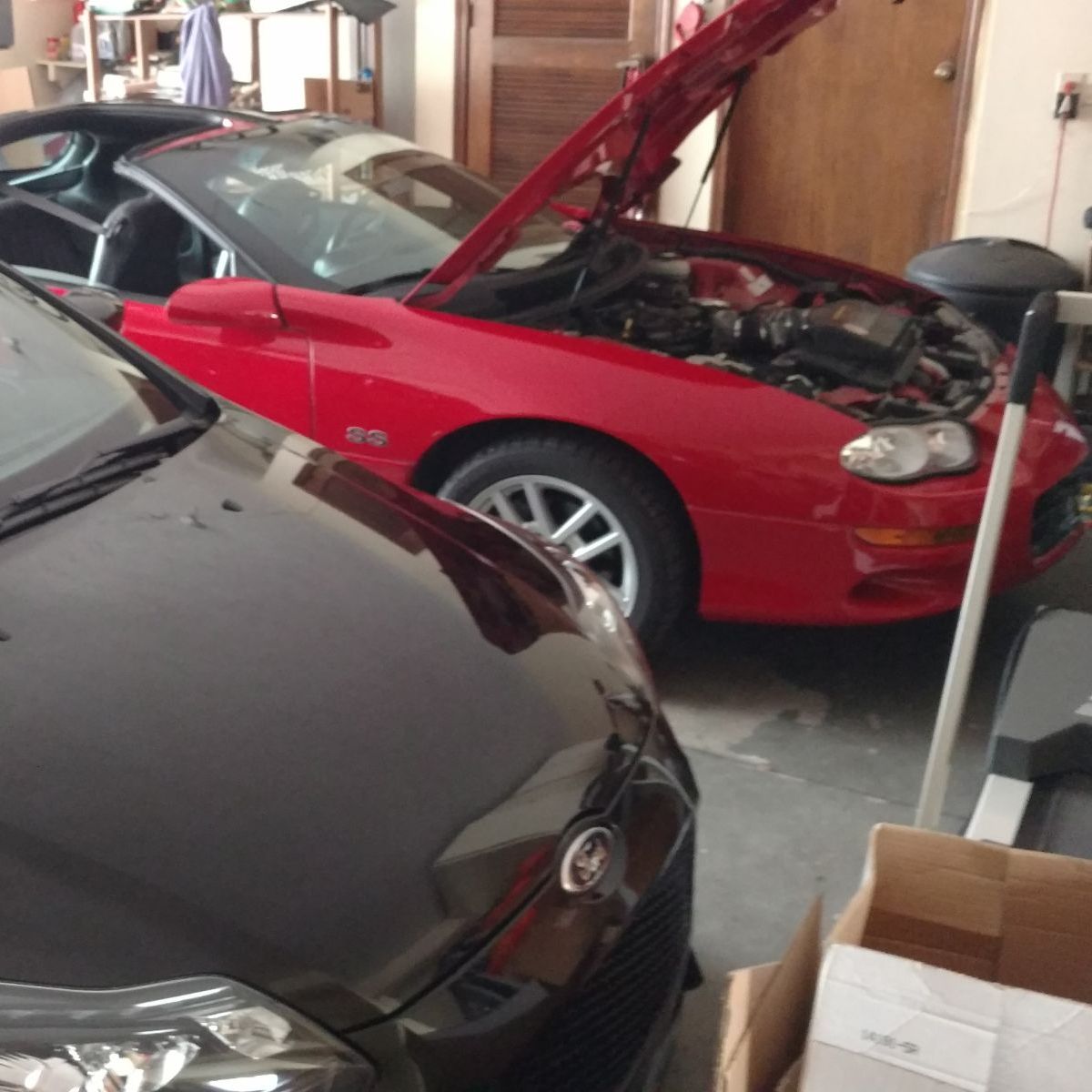 Profile of Aaron Pfeifer