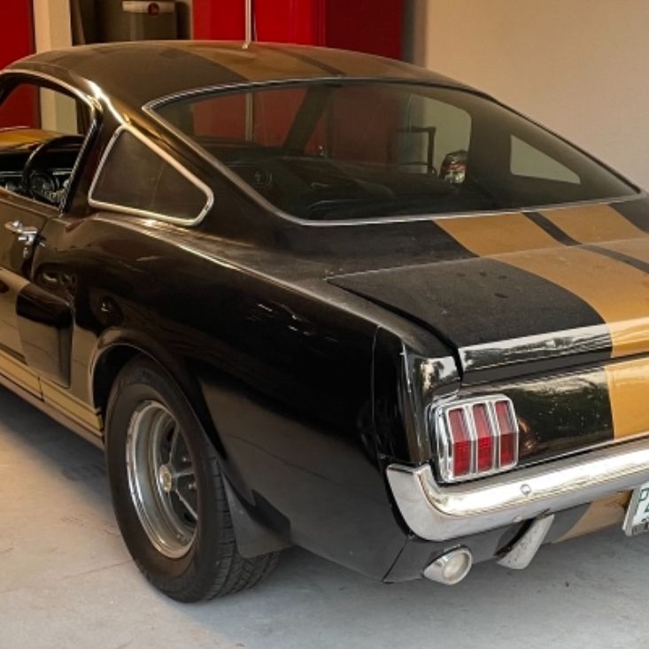 Profile of Tony DeLellis