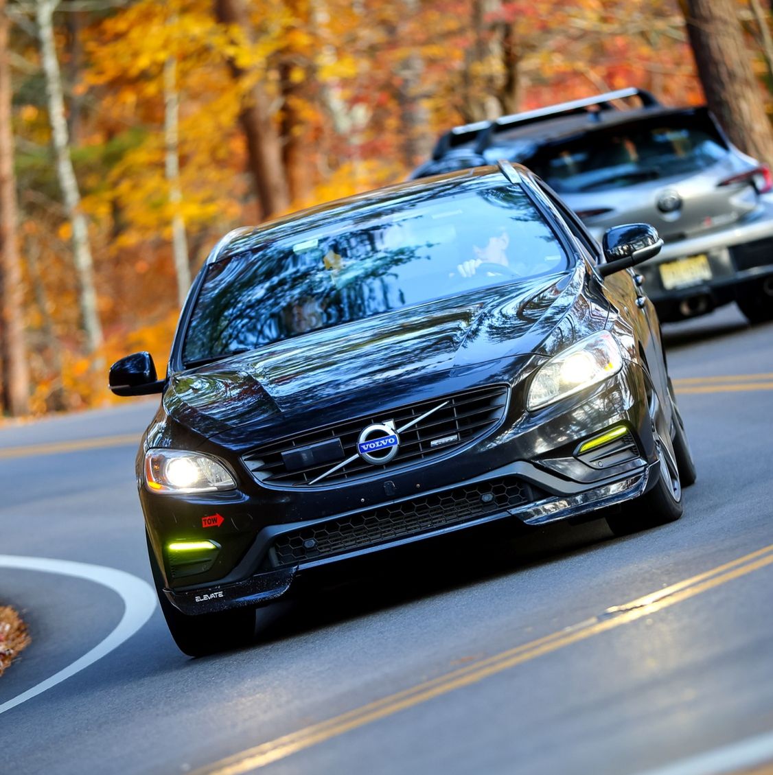 Profile of Max Stump