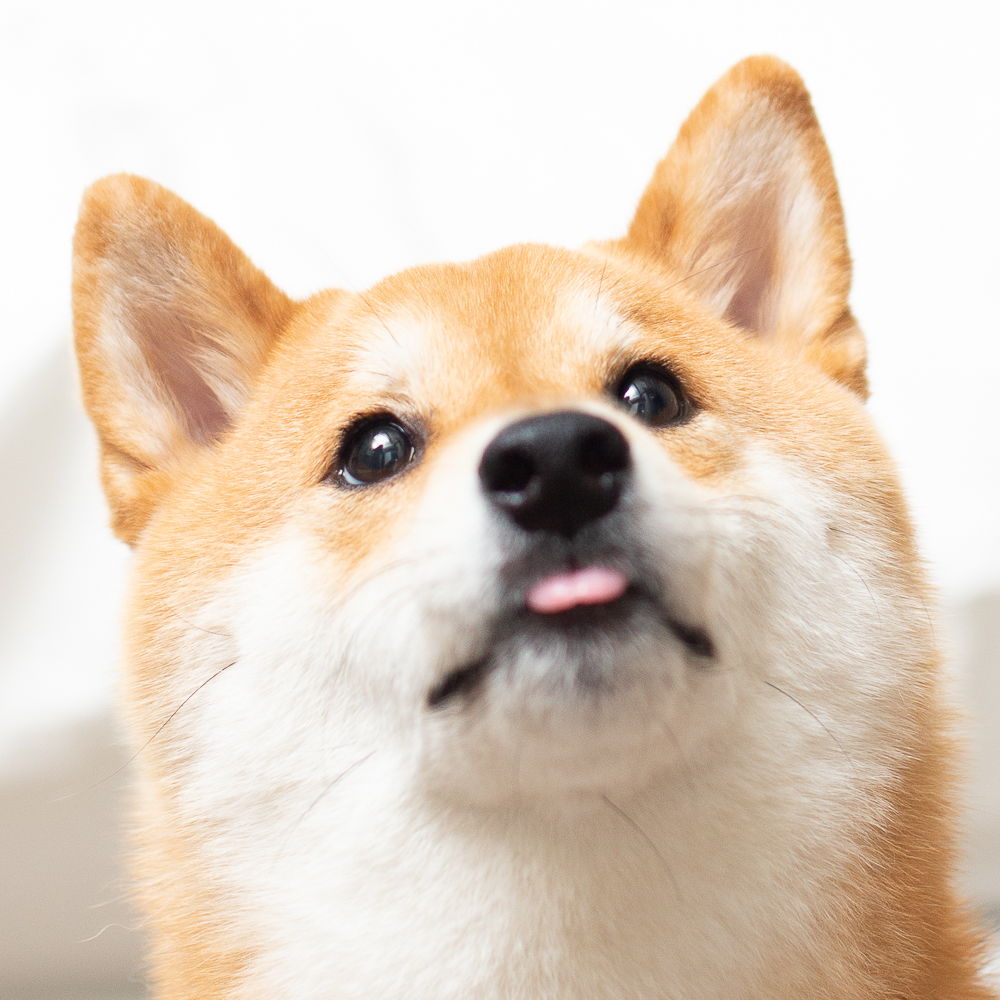 Profile of Daniel Wang