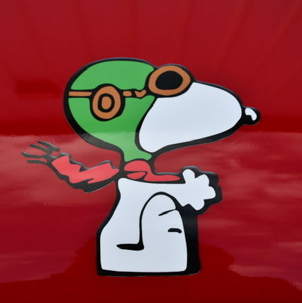 Profile of Nate dos Santos